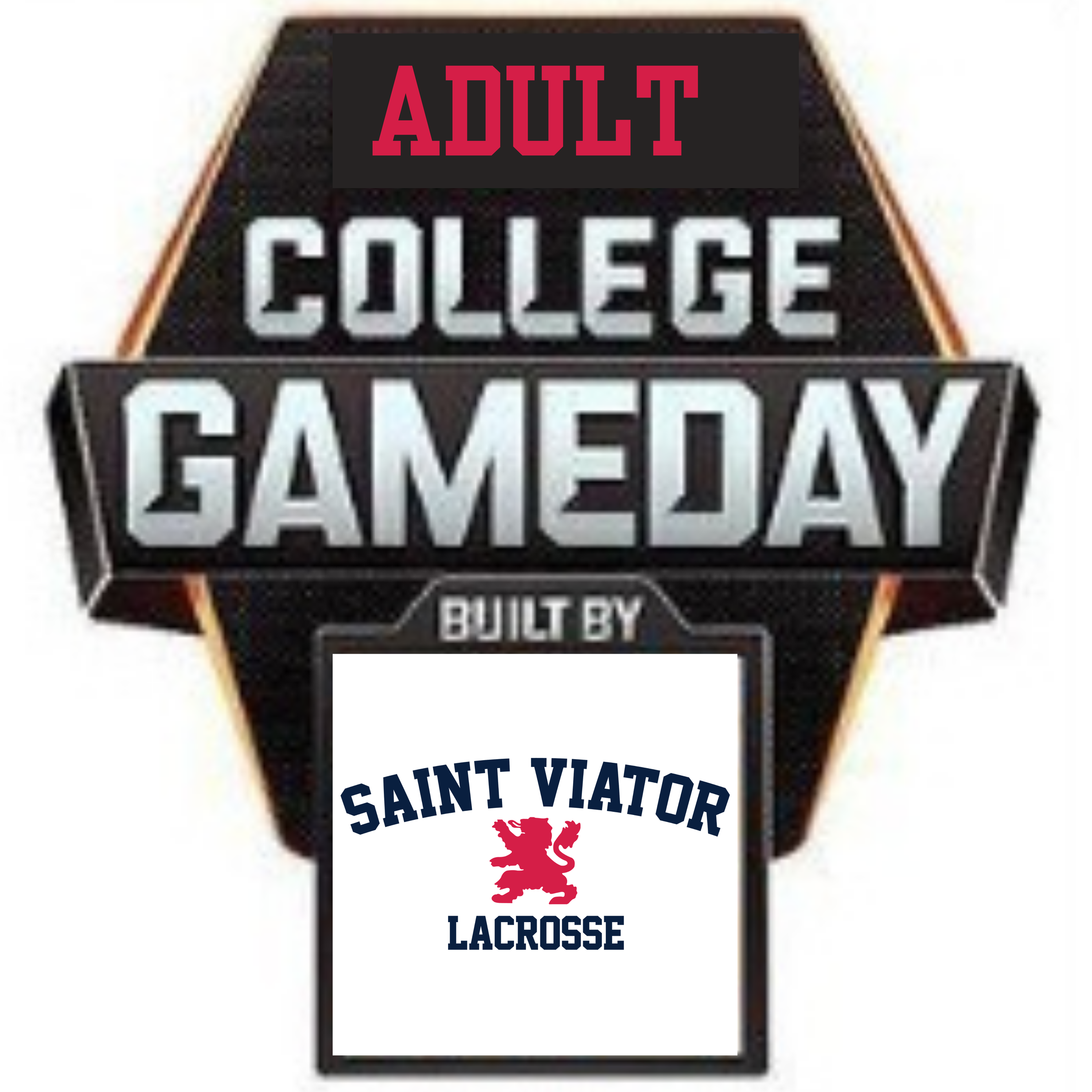 Saint%2BViator%2BBoys%2BLacrosse%2B%25282%2529.png