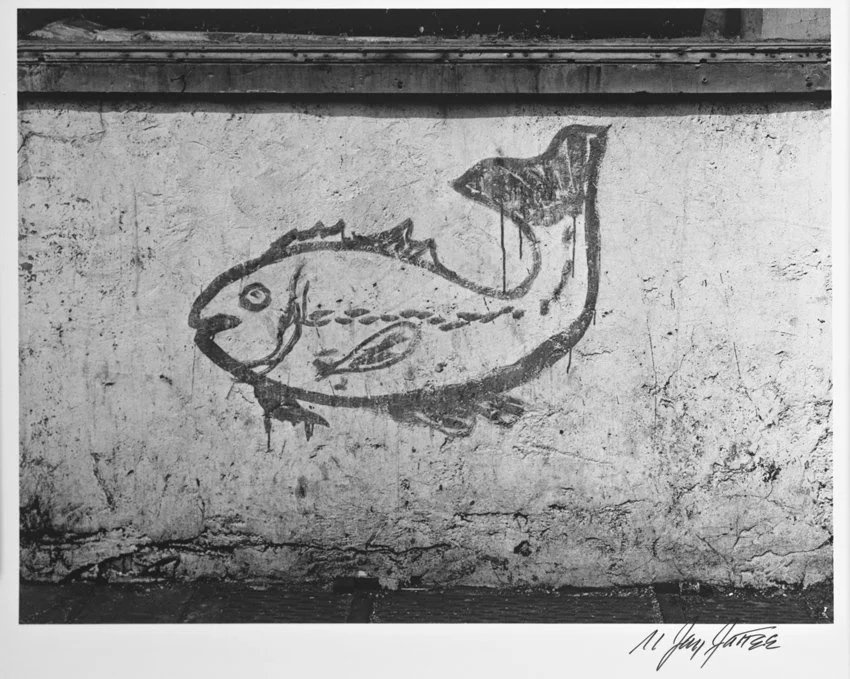Fish Drawing-Blake Ave-Brooklyn c1949.jpg