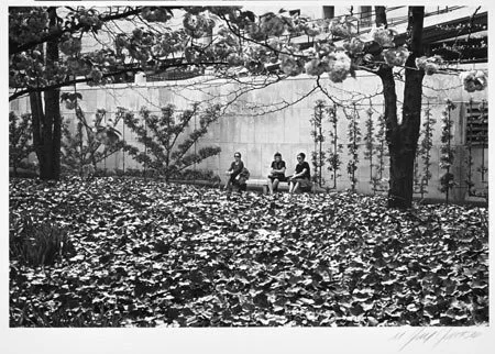 Women and Foliage-U.N. Esplanade-NYC 1971.jpg