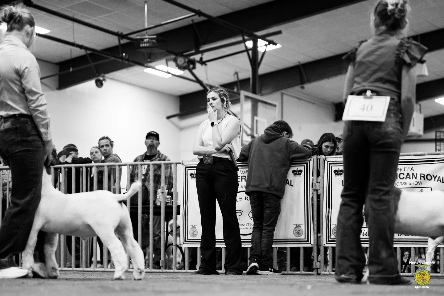 LITTLE AMERICAN ROYAL GOAT SHOW 👑

Images are up online as available as FREE downloads to all exhibitors and families! Find your photos at www.allisonmariemedia.com/findshowphotos