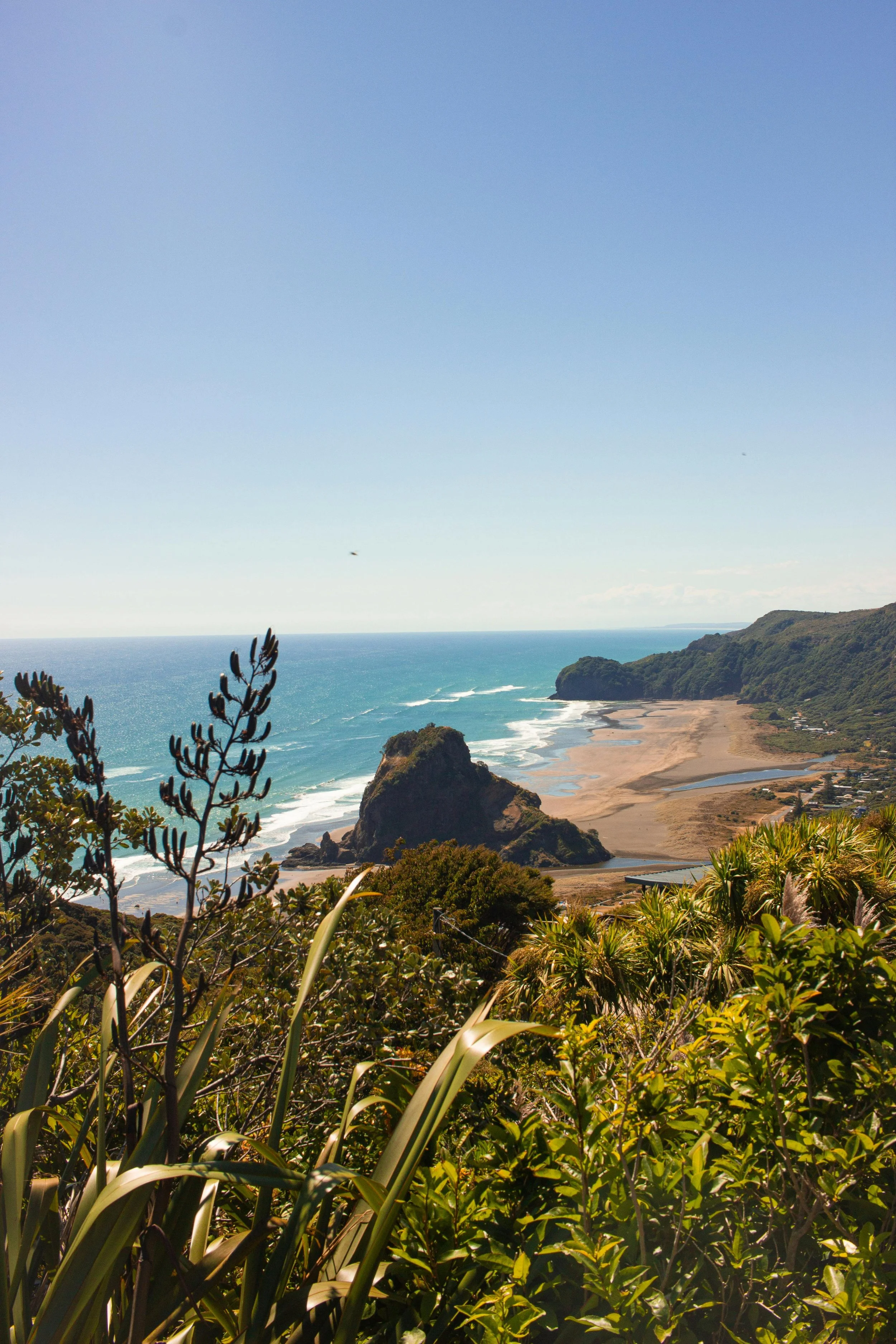 Piha & Kitekite Falls Nature Tour