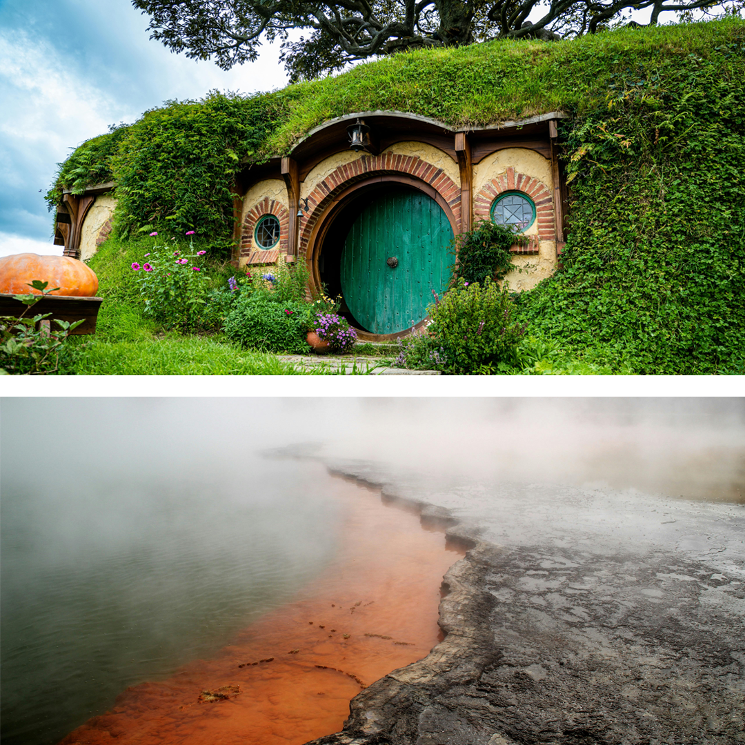 Auckland To Rotorua Via Hobbiton Tour