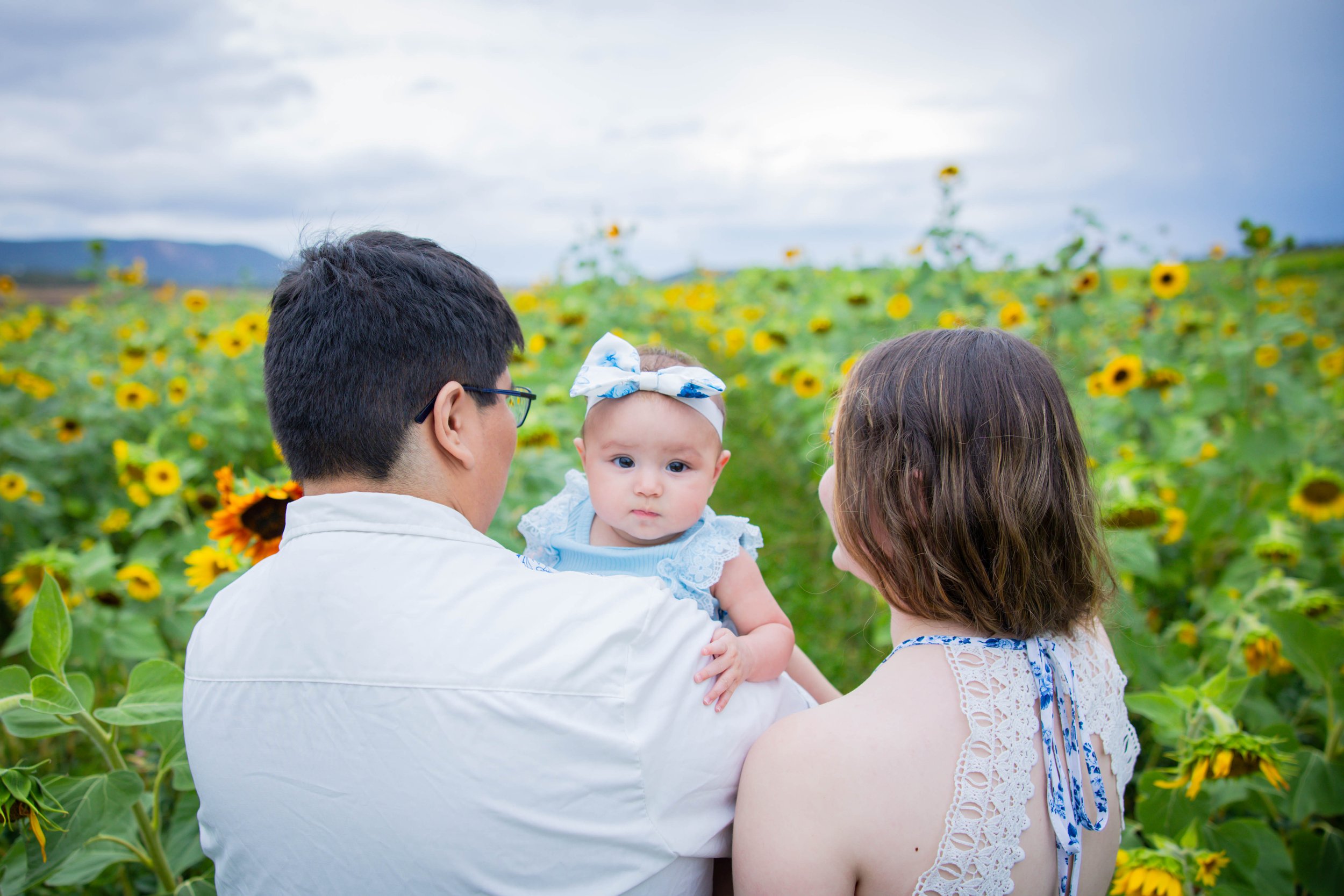 A family of three, consisting of a man, a woman, and a baby girl, stands in a sunflower field during daytime. The man holds the baby facing the camera, with a blue and white bow on her head. The woman is beside them, looking at the baby. Overcast sky in the background.