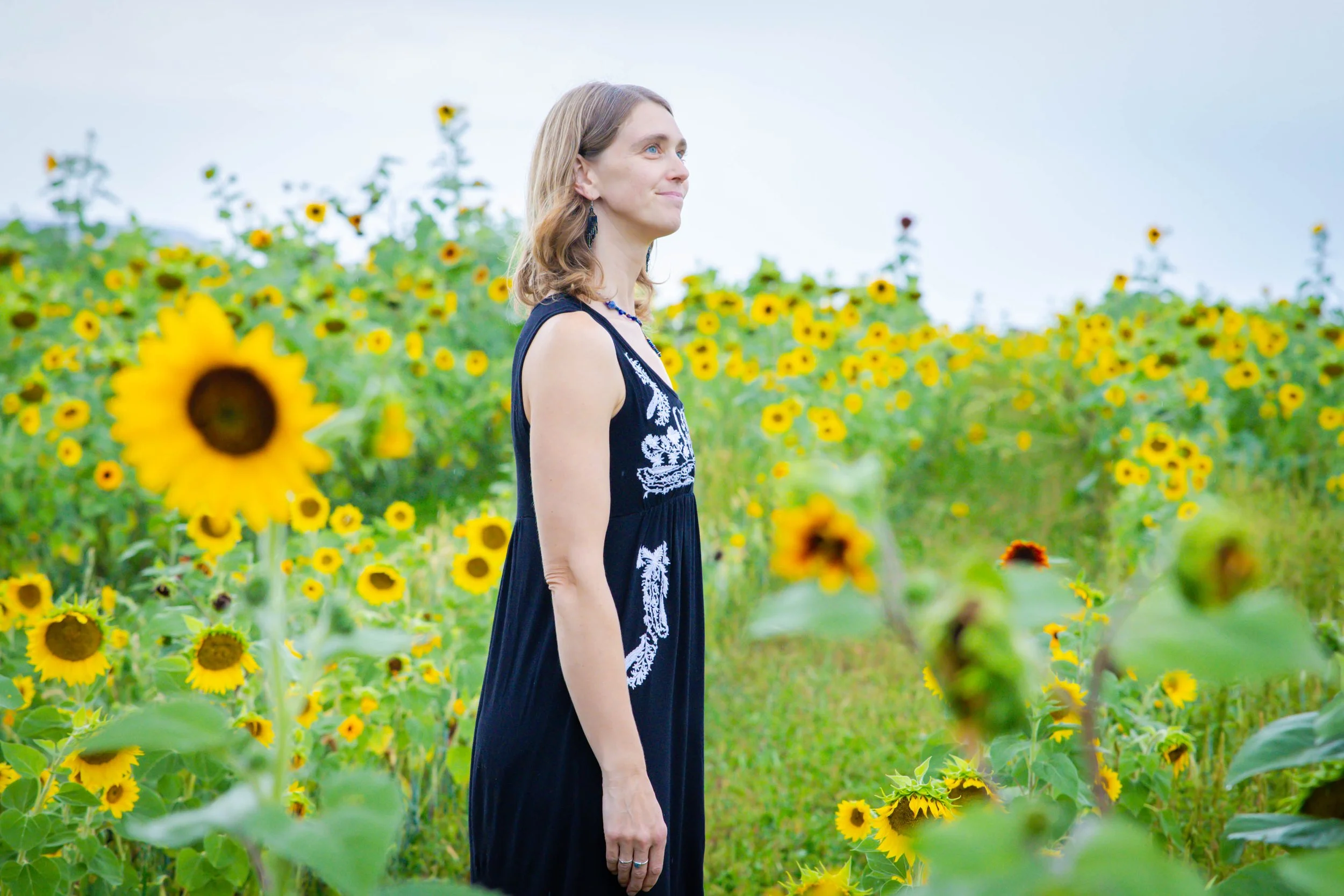 sunflowers-13.jpg