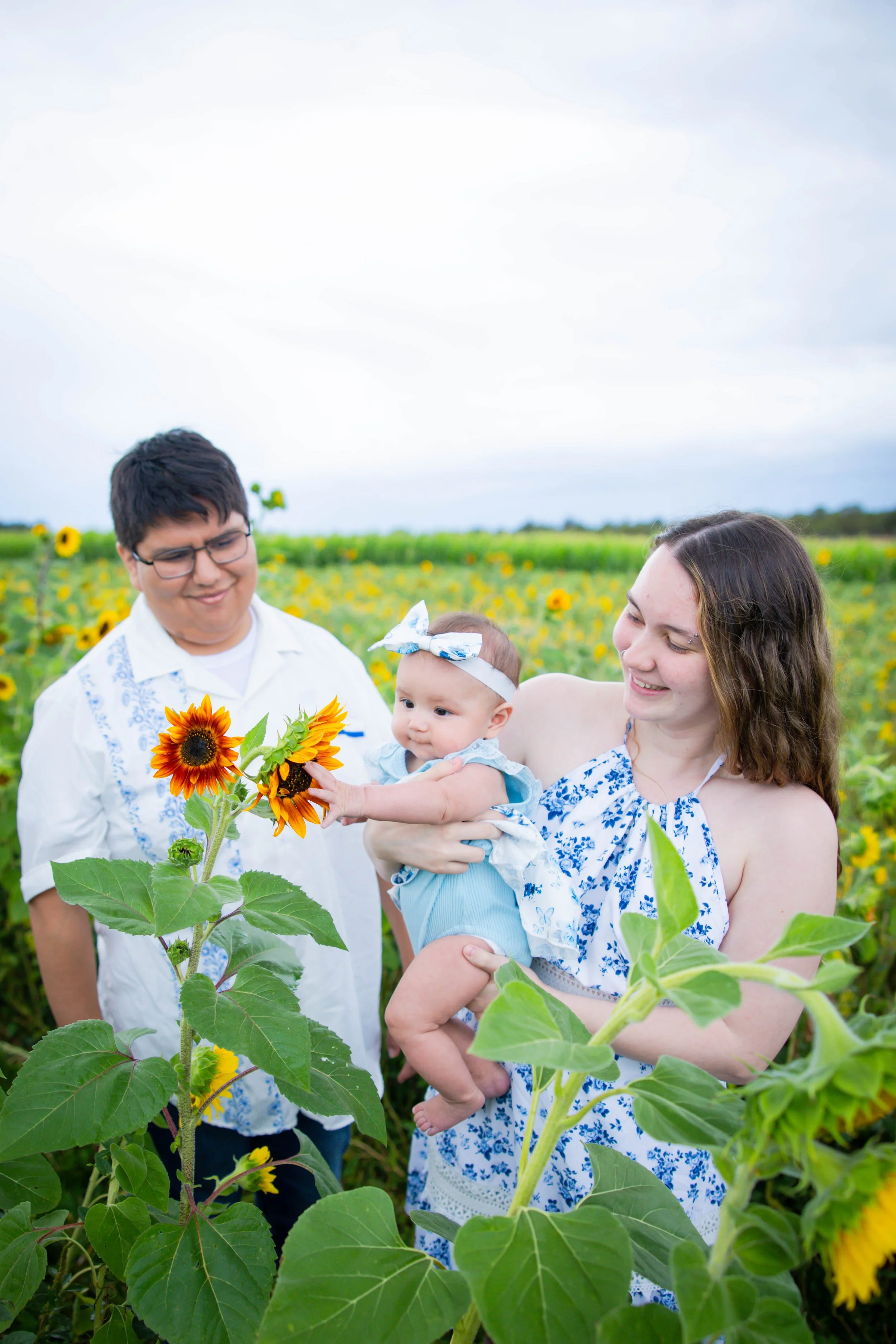 sunflowers-7 - Copy.jpg