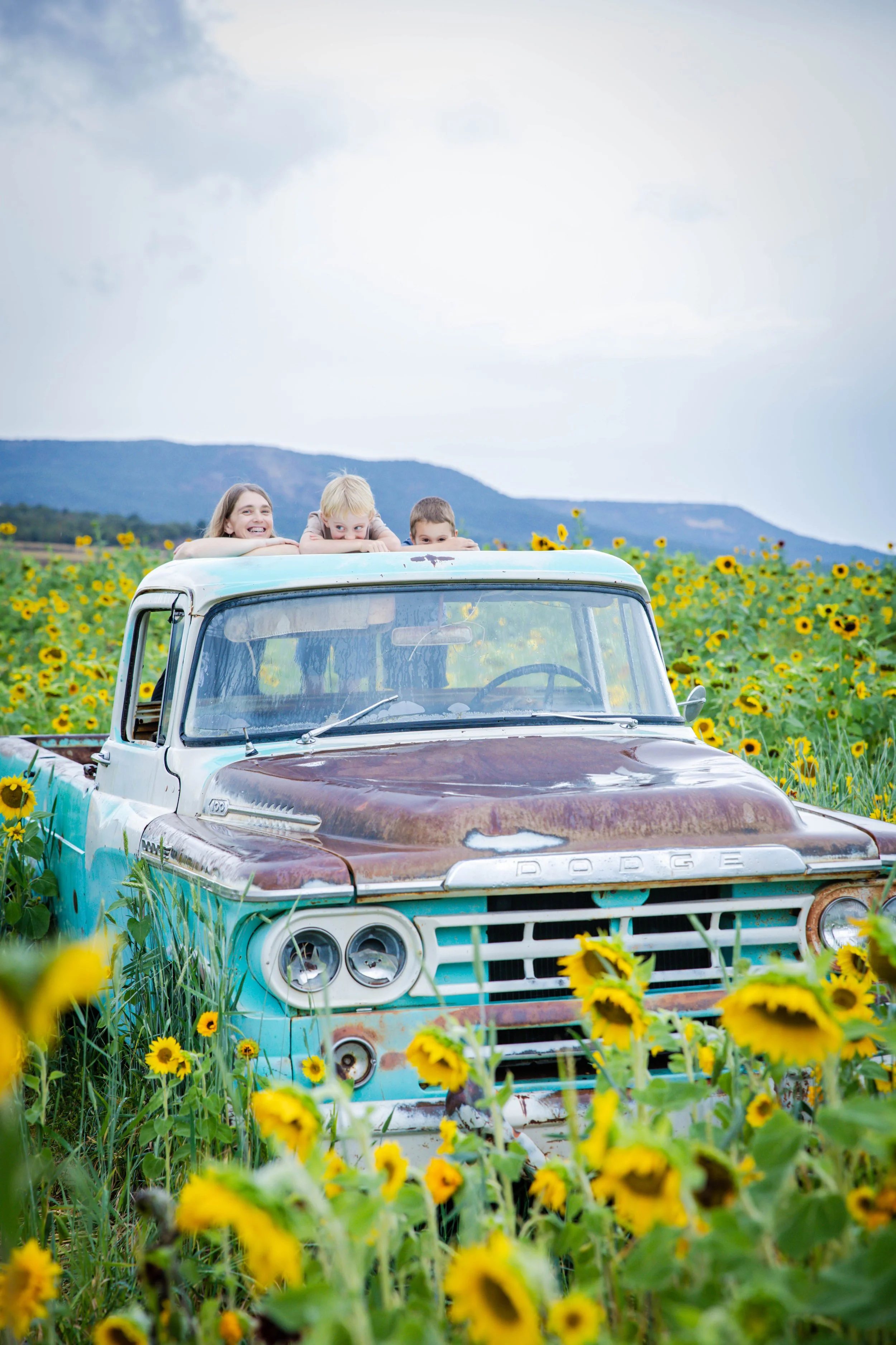 sunflowers-8.jpg