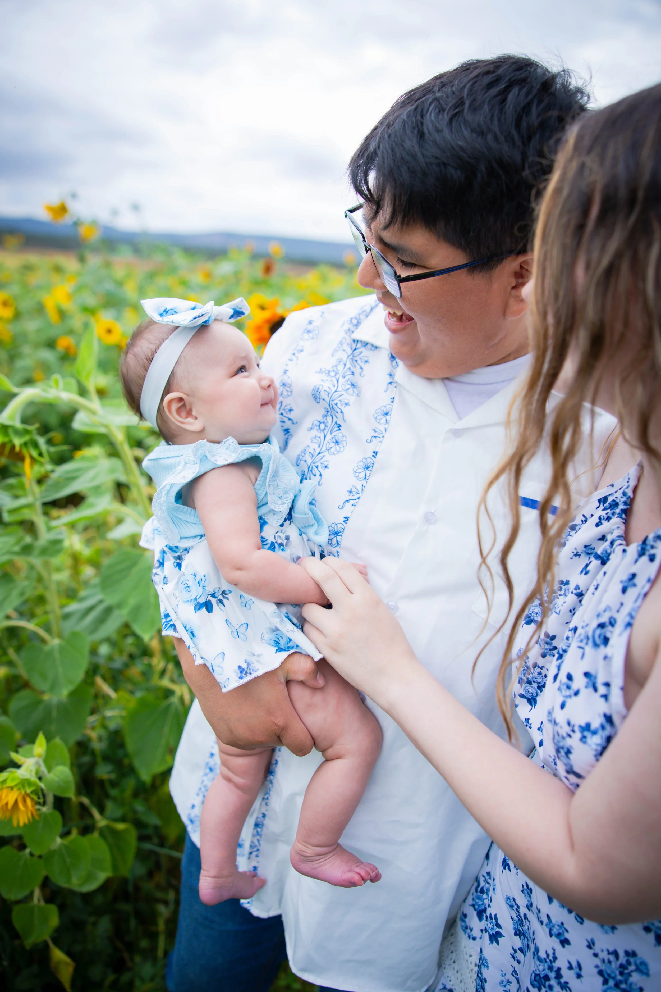 sunflowers-2.jpg