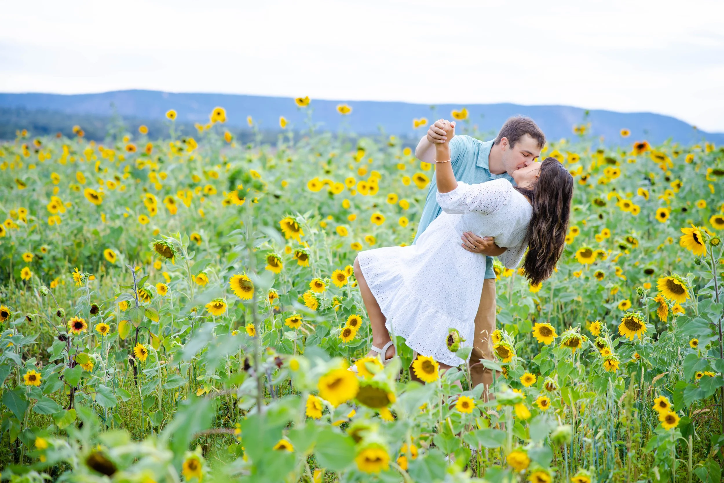 sunflowers-10.jpg