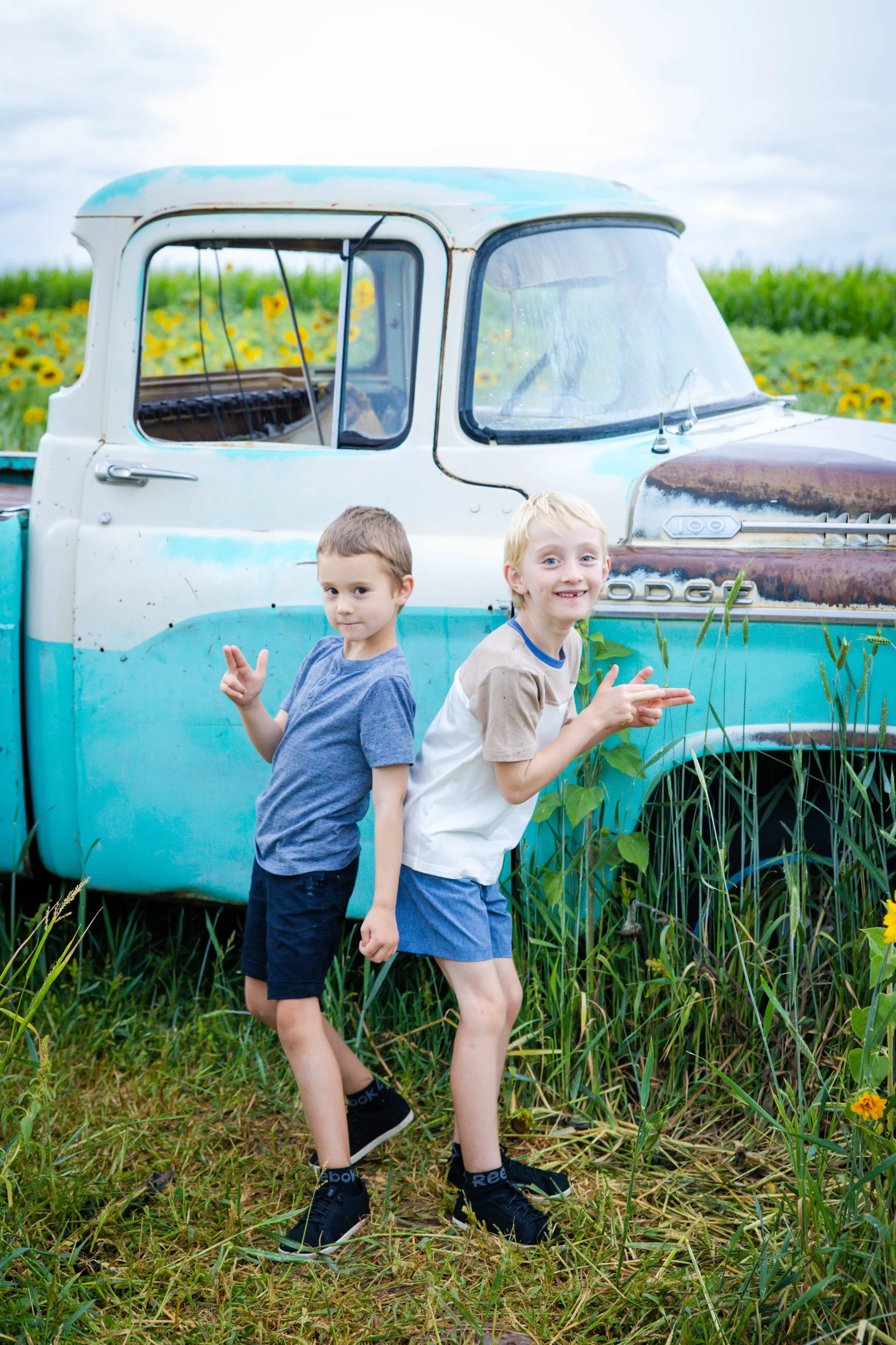 sunflowers-11.jpg