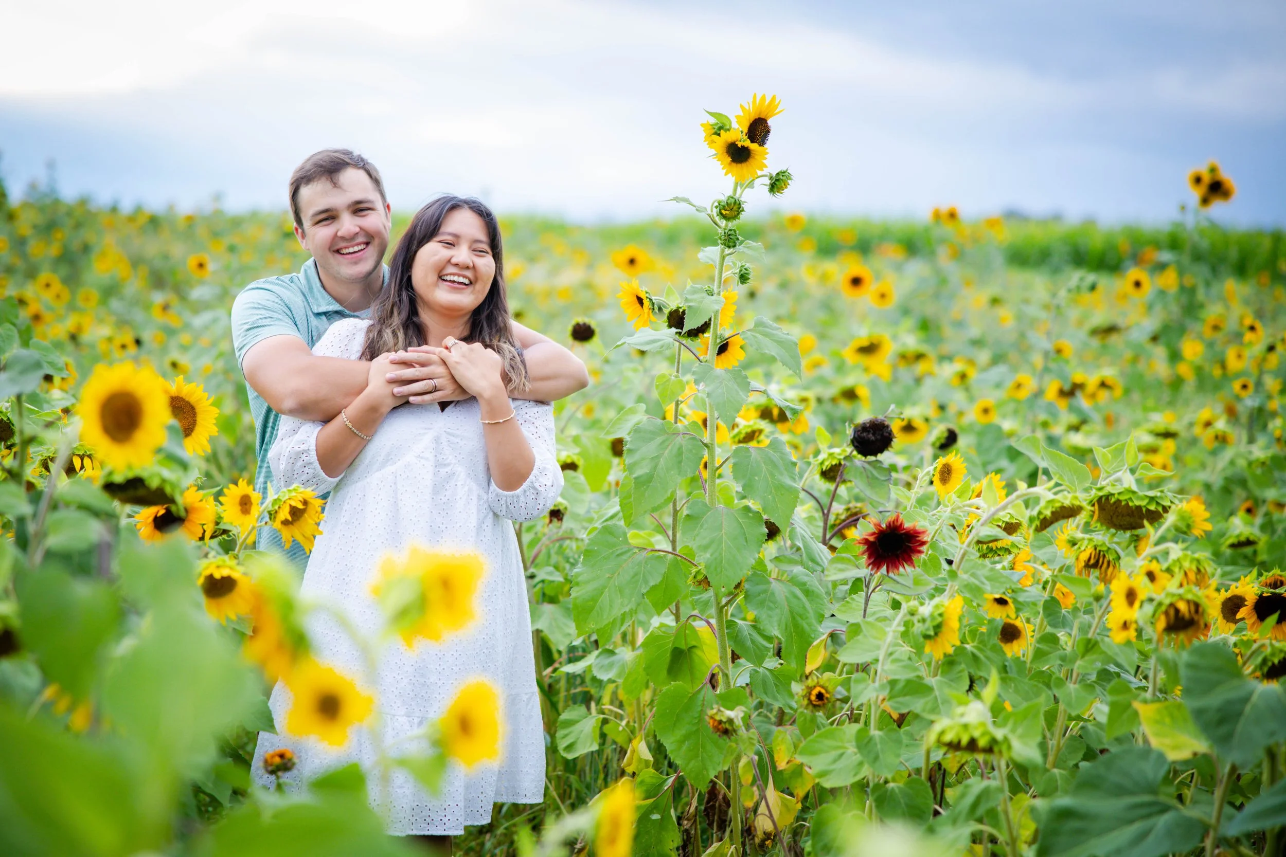 sunflowers-6.jpg