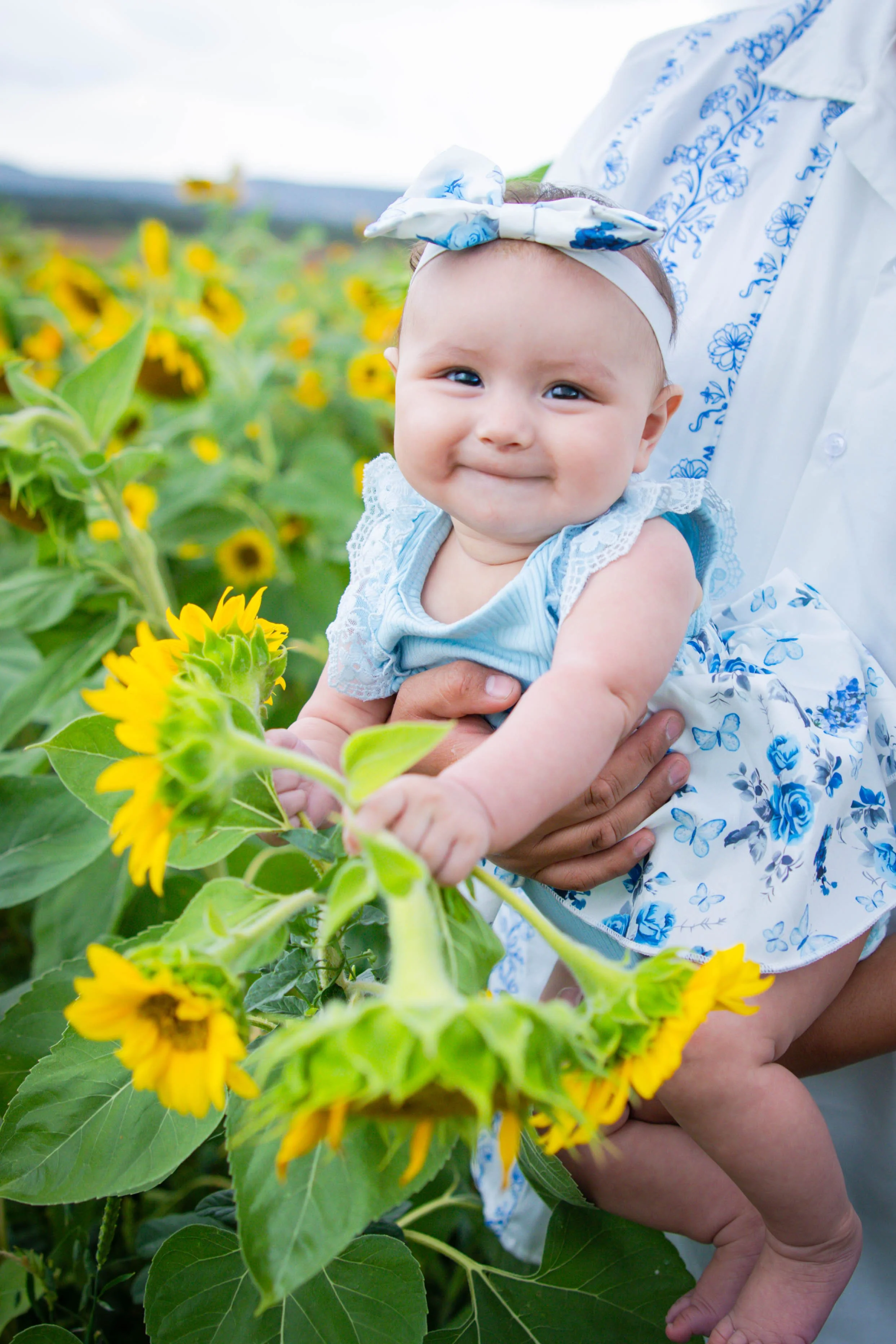 sunflowers-11.jpg