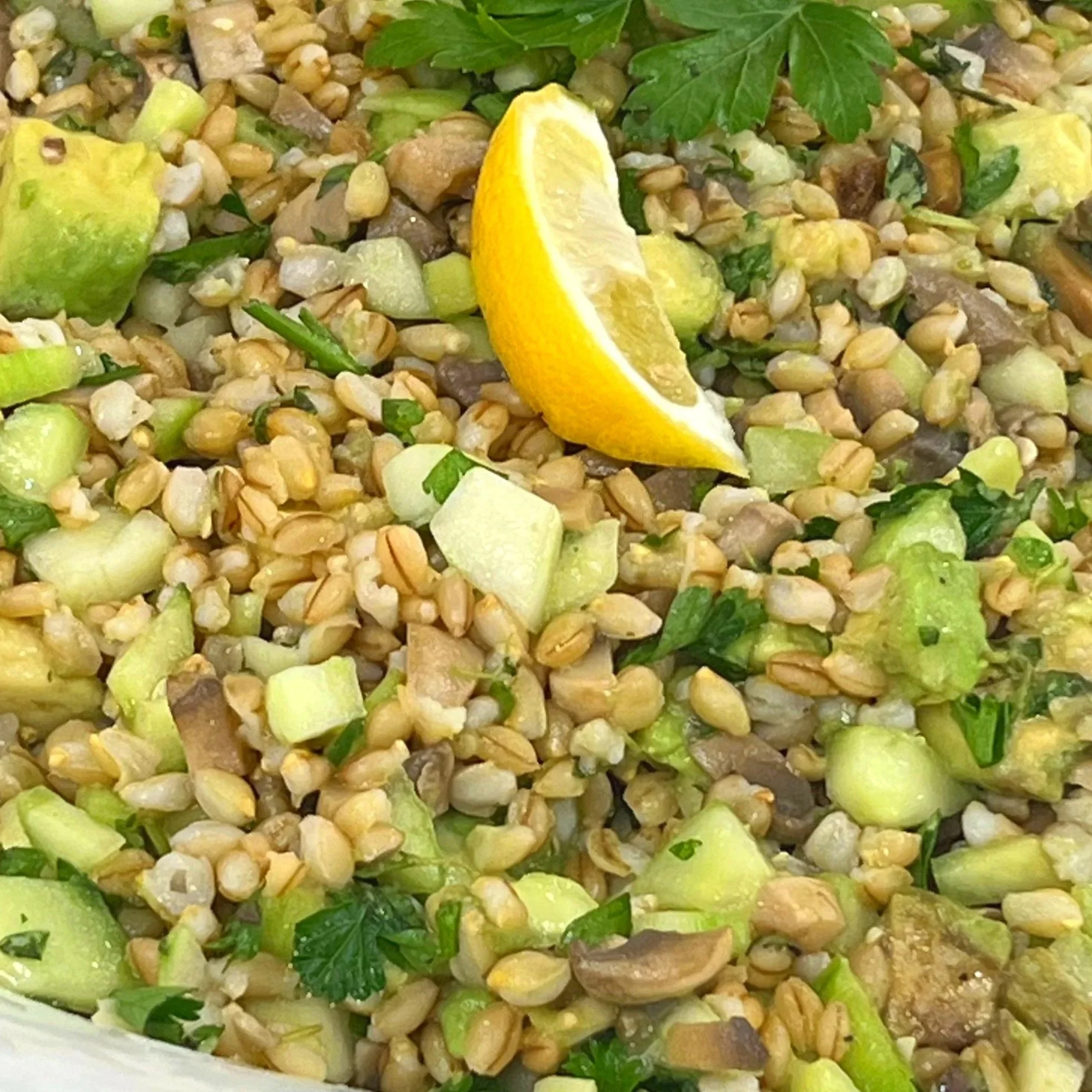 Avocado Barley Salad 