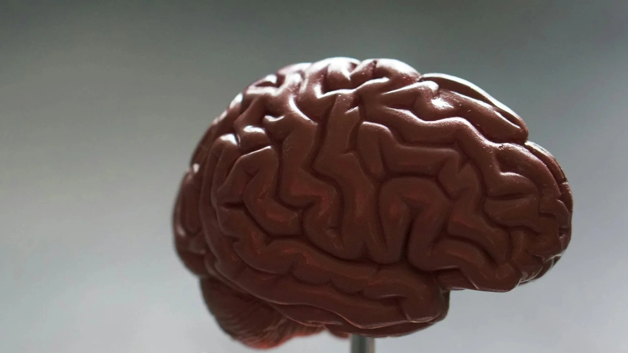 Nourish Your Brain: Delicious Foods For Healthy Aging