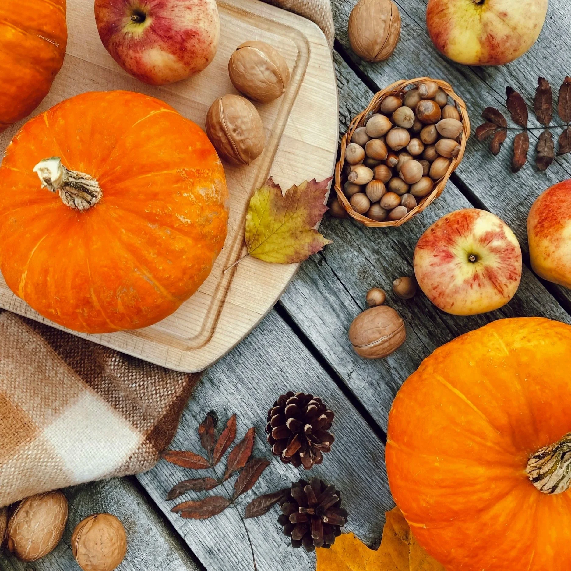 My Guide To Fall Eating