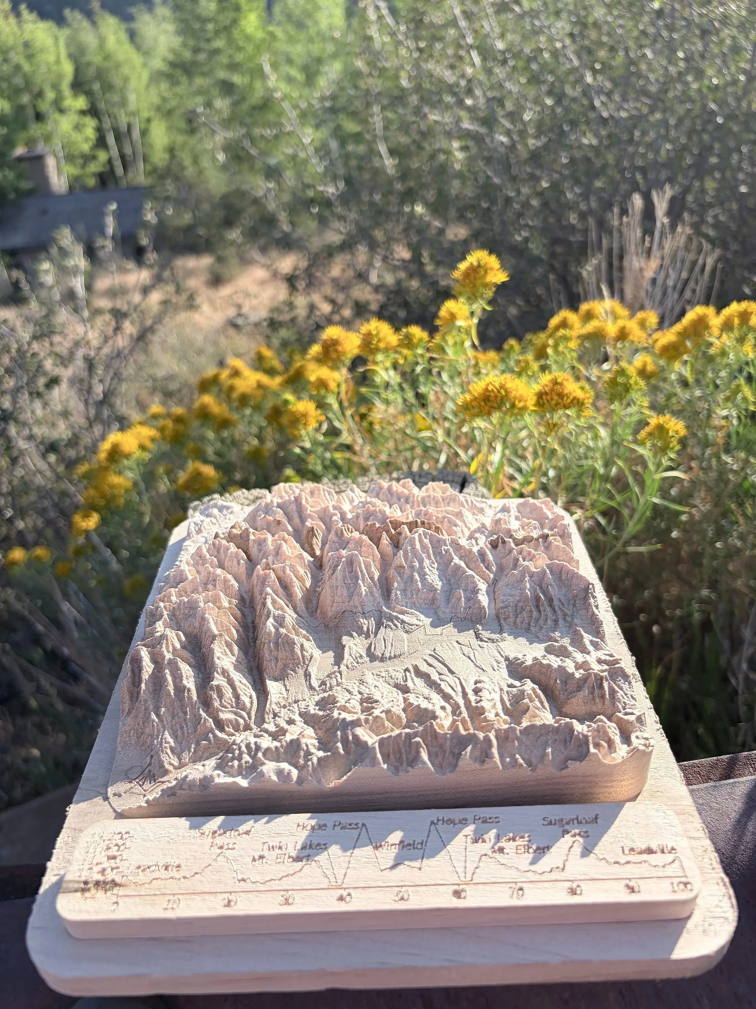 Leadville100_2.jpg