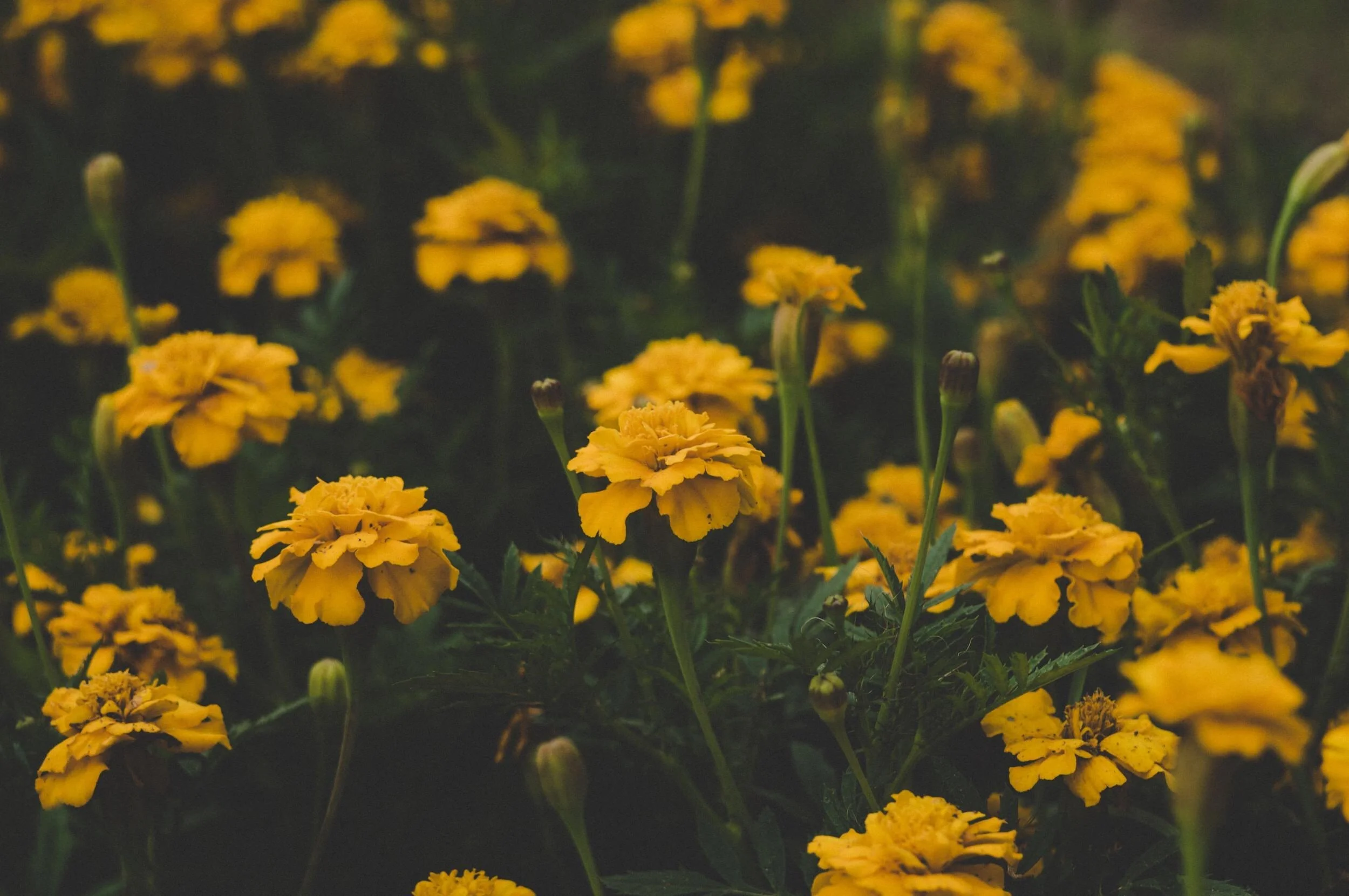 Blog Post Sample