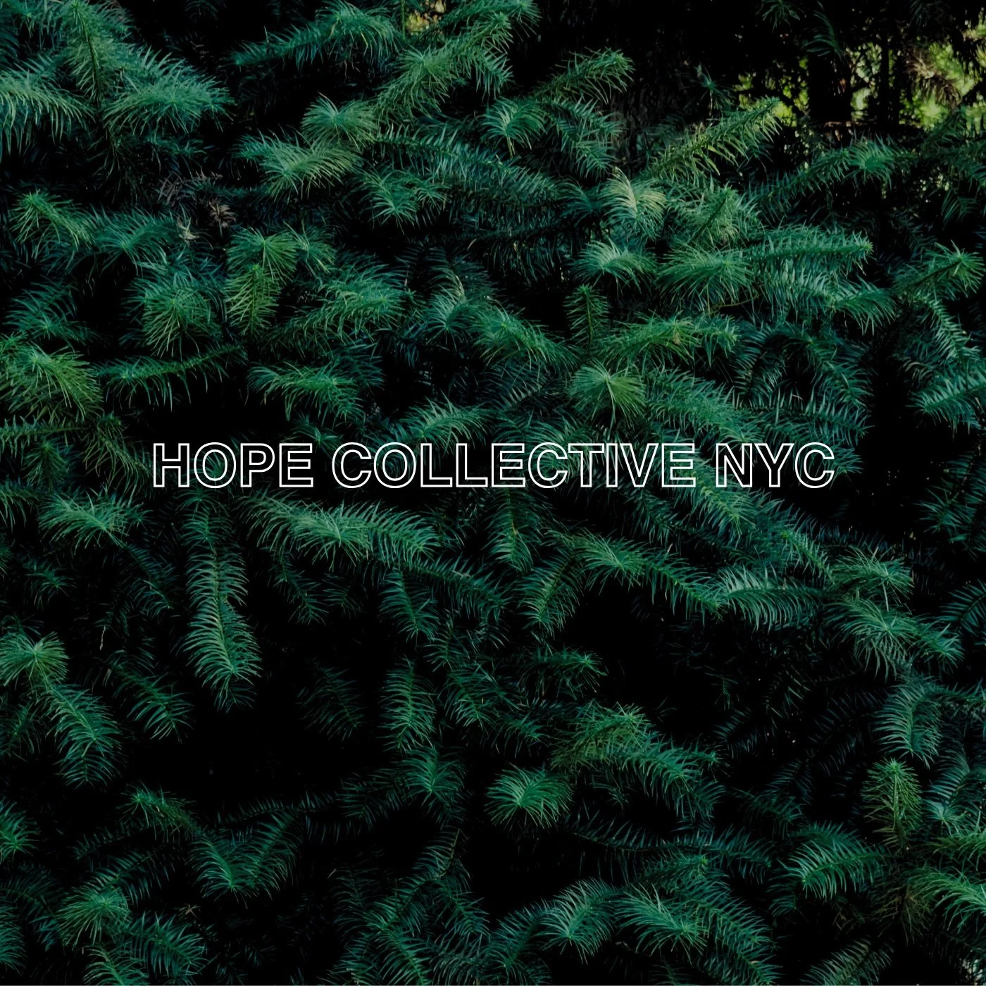 Here it is.
The cover of our debut Christmas EP. A project shaped by prayer, community, and the sound of worship in New York City. We can&rsquo;t wait for you to hear it.
#HopeCollectiveNYC #ChristmasEP #EPArtwork #NewMusic #NYCWorship #WorshipCollec