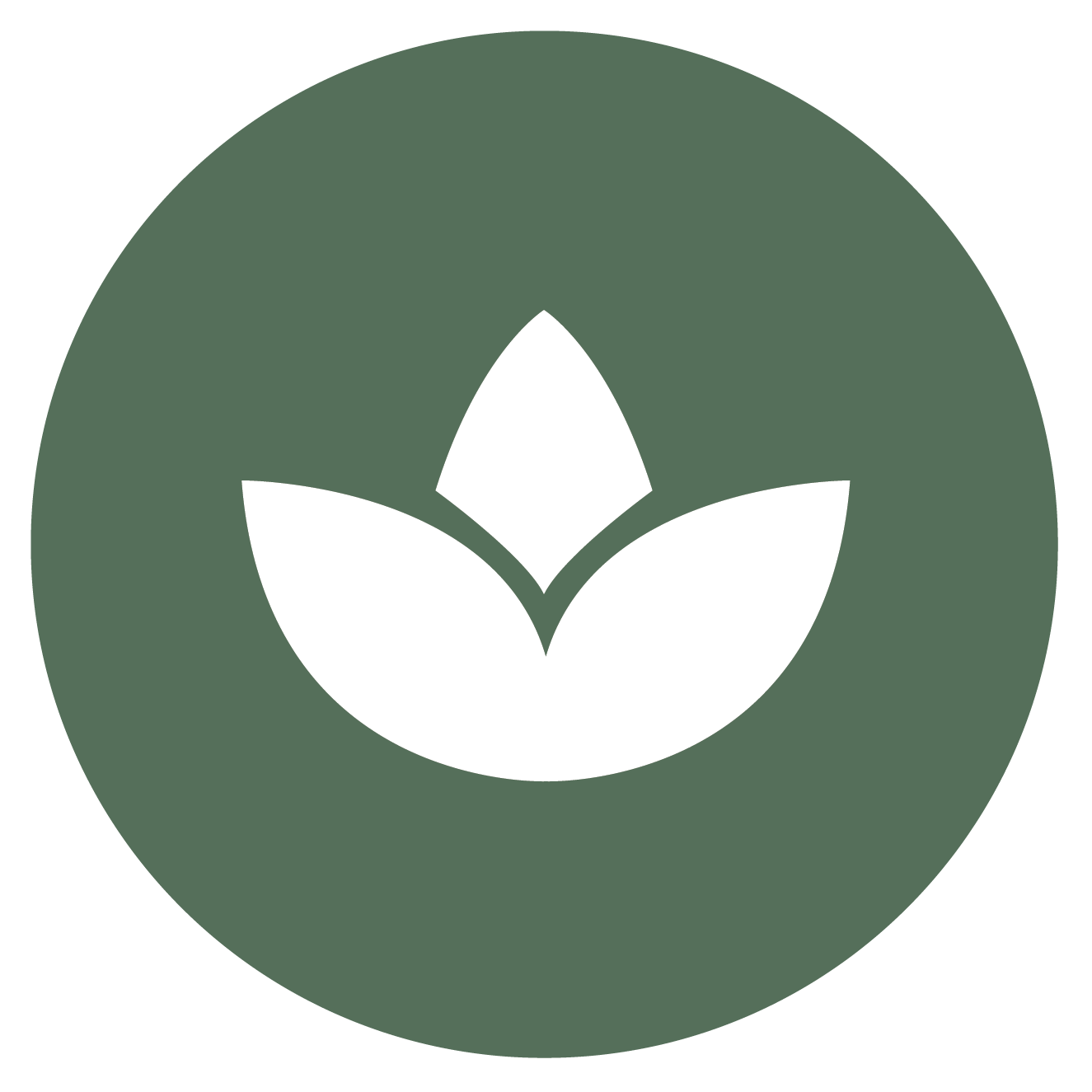 massage therapies, lotus icon