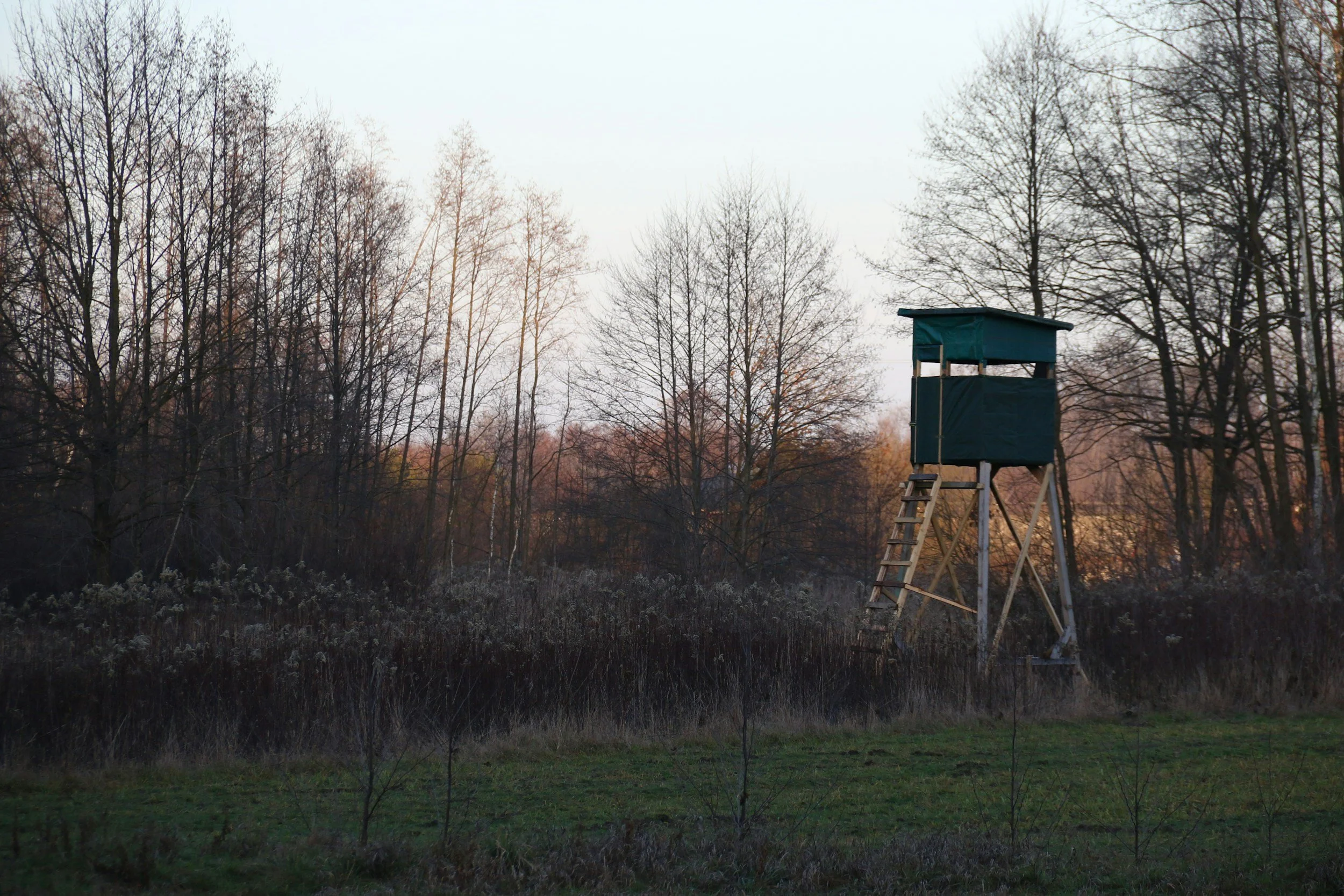 Tree Stands, Hunting Accidents and Who’s Responsible: A Pennsylvania Hunting Season Safety Guide