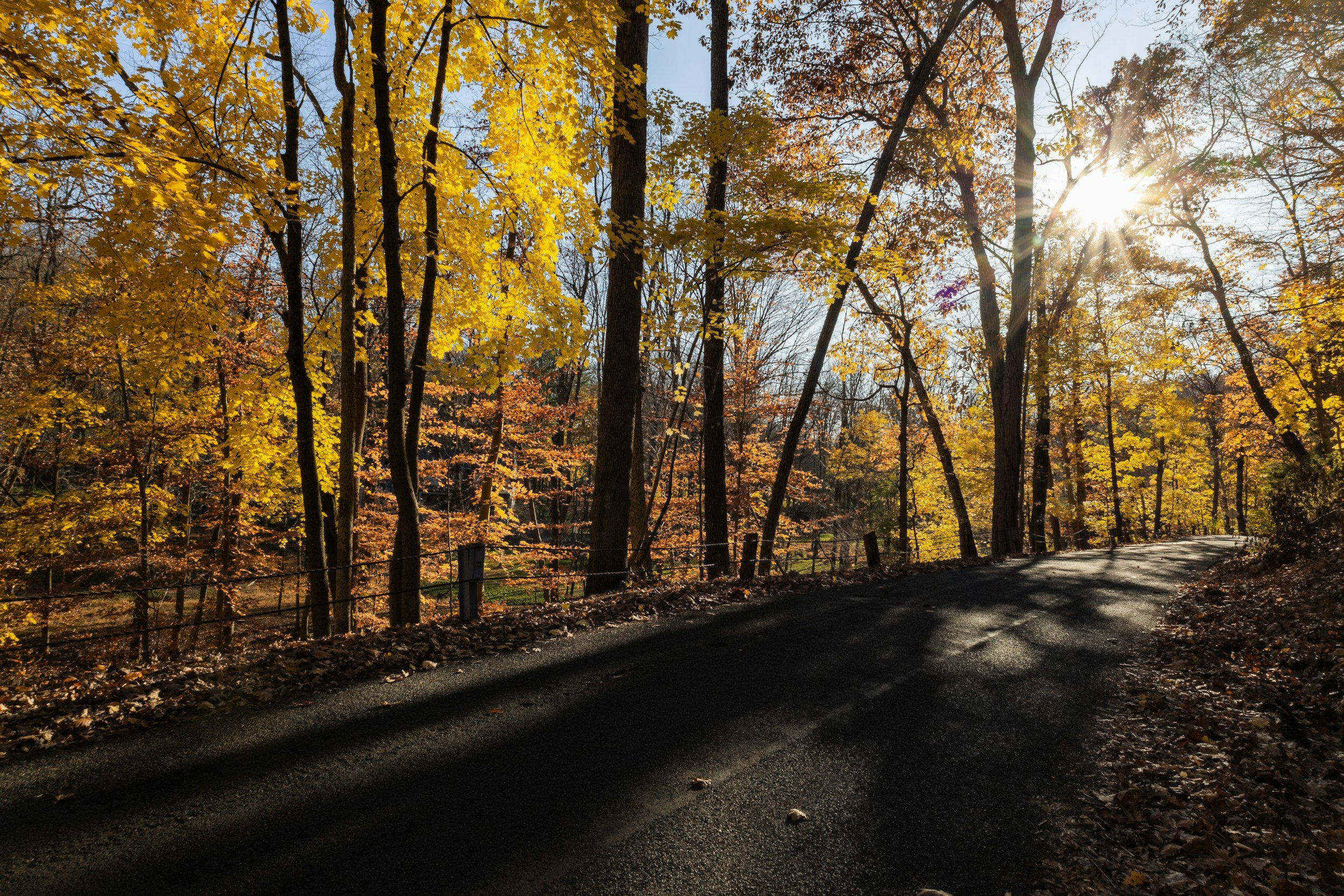 Wooded two-lane road through autumn trees in Pennsylvania