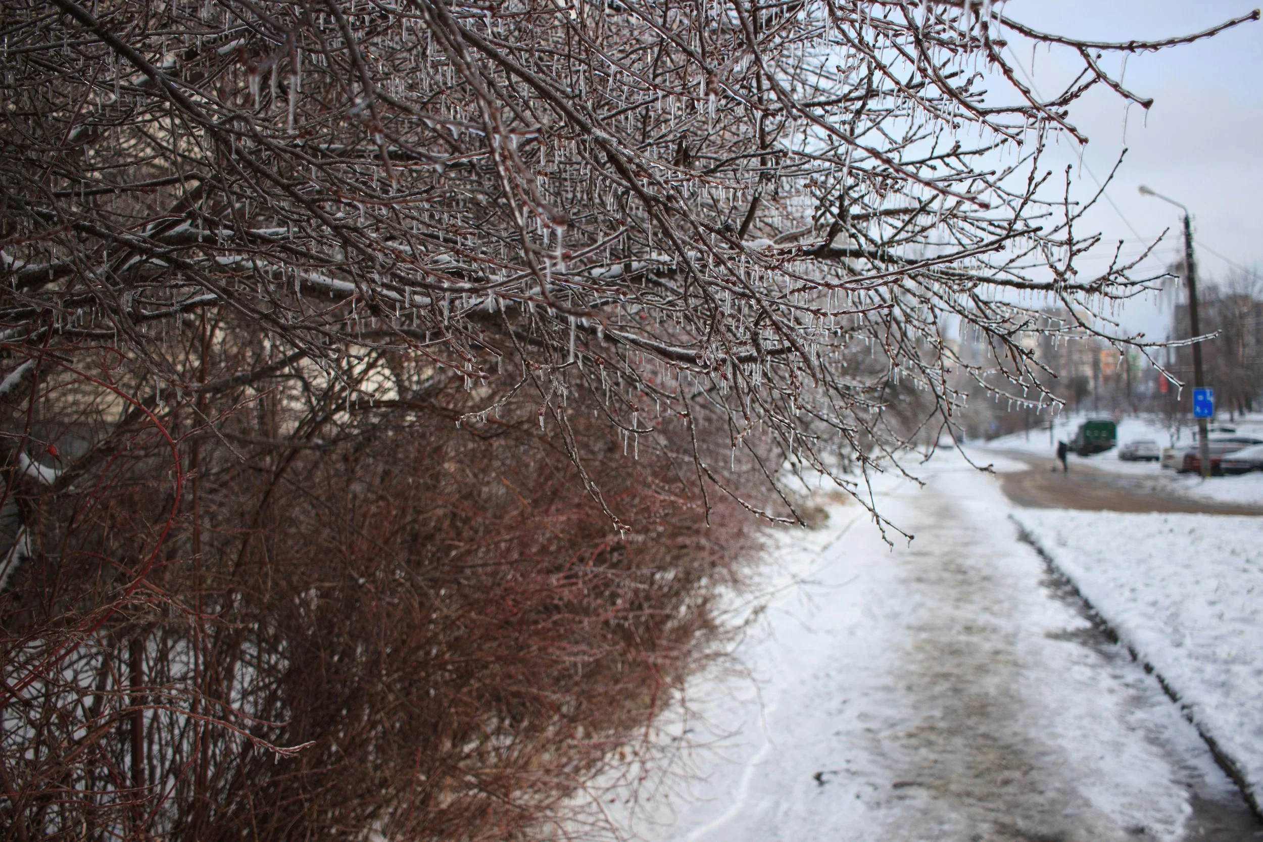 icy sidewalk in PA
