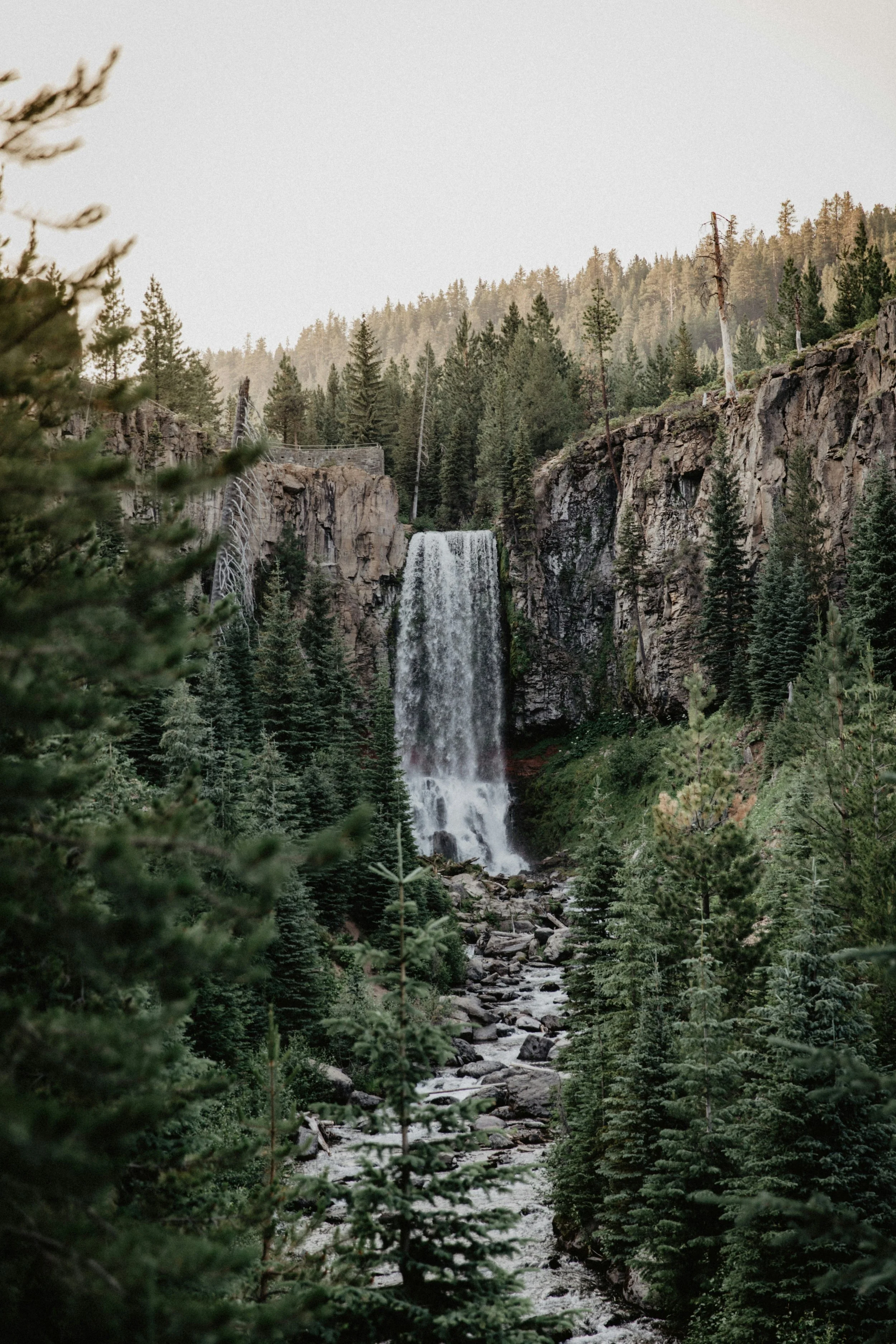 A tall waterfall flowing down a rocky cliff surrounded by lush green pine trees in a forested mountain landscape.