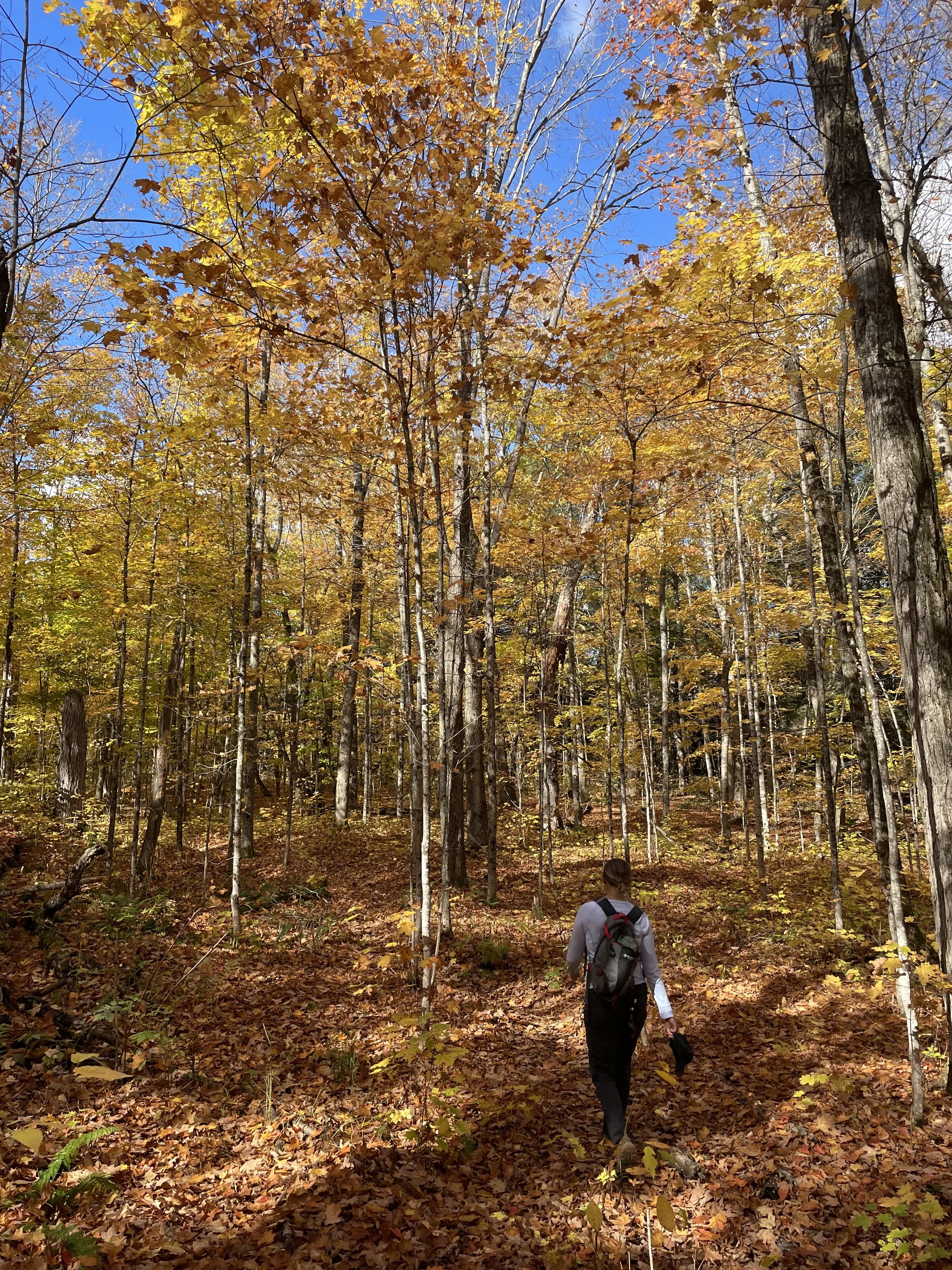 May 2nd: Half Day Hike