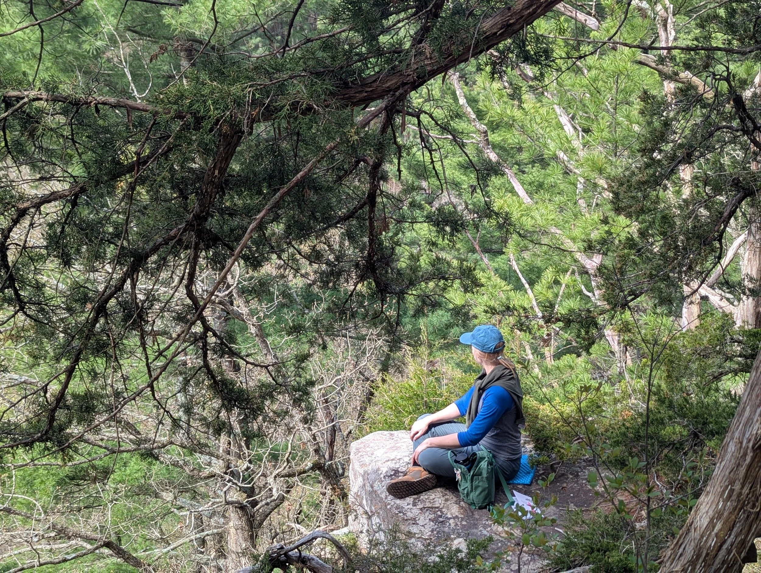 Half Day Hike for Educators