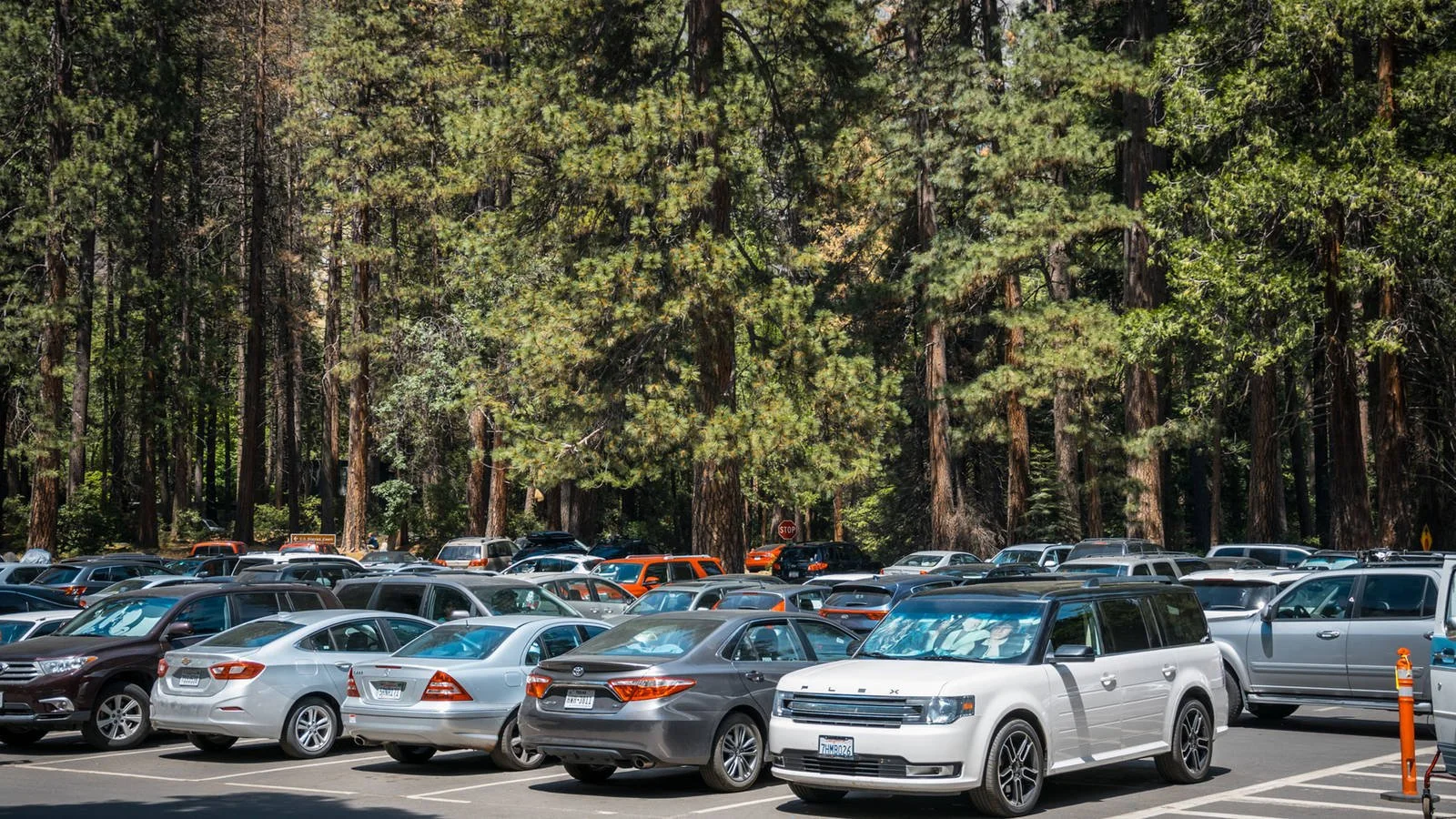 Daily State Park Vehicle Pass