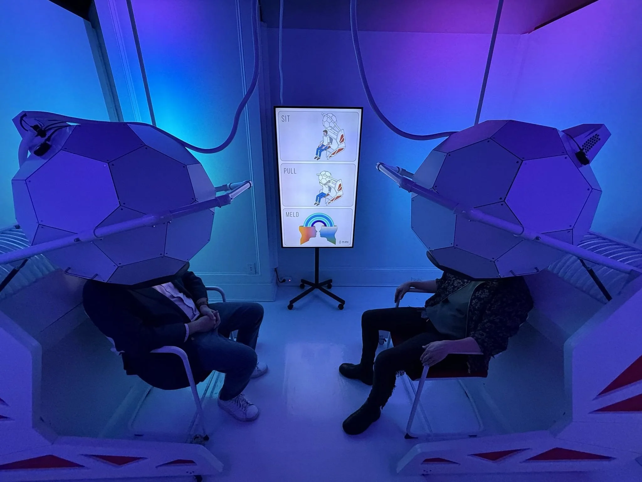 Link your consciousness with Mind Meld