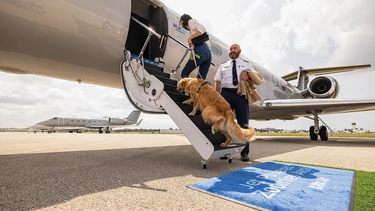 Pet-Friendly Travel Just Got Cozy: Take International Flights With Your Pup