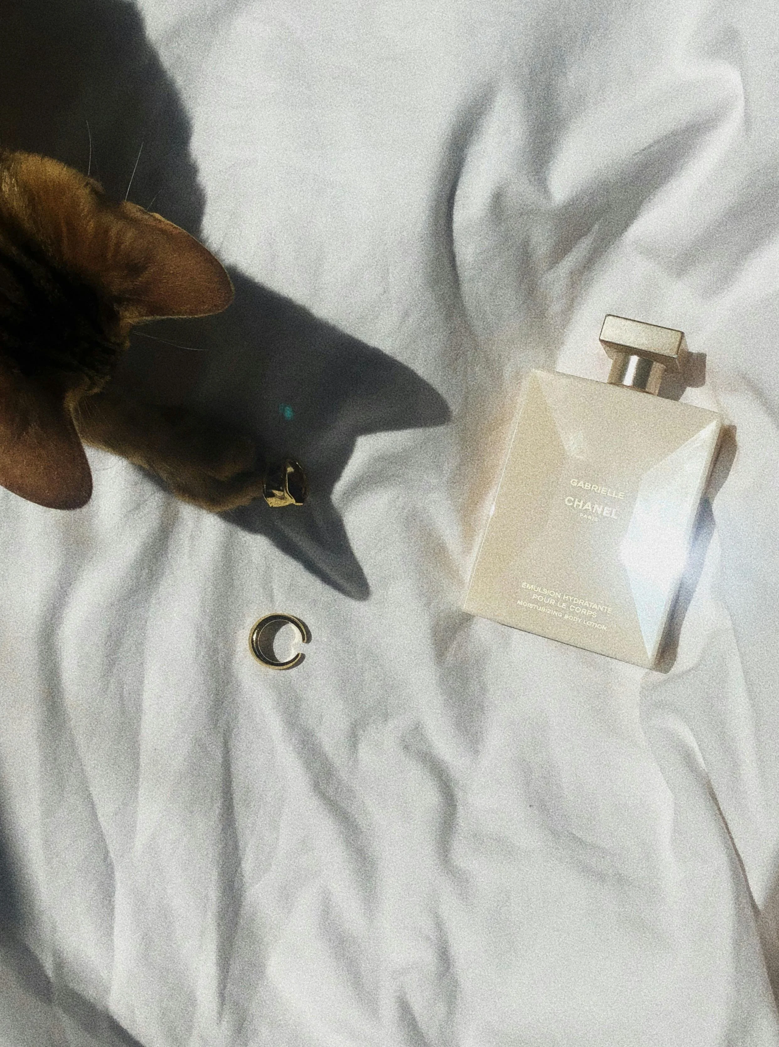 The Luxe Home Fragrance Hack That Dog Owners Swear By