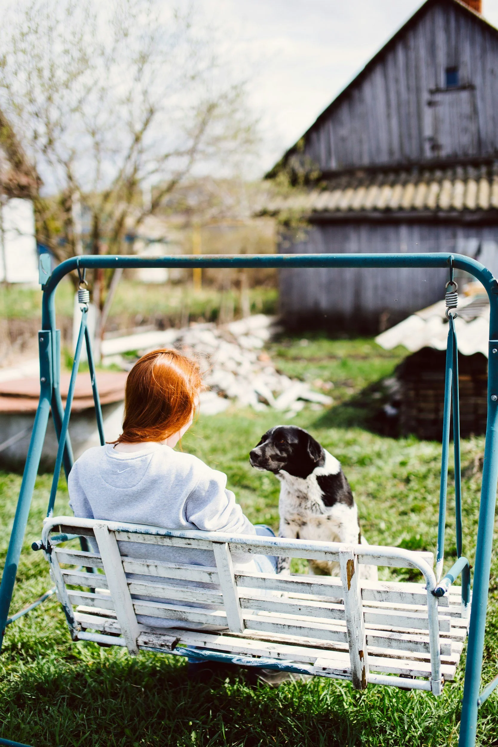 A girl with red hair sitting on a white wooden swing outdoors, looking at a black and white puppy, in a yard with grass, a wooden barn, and some trees.
