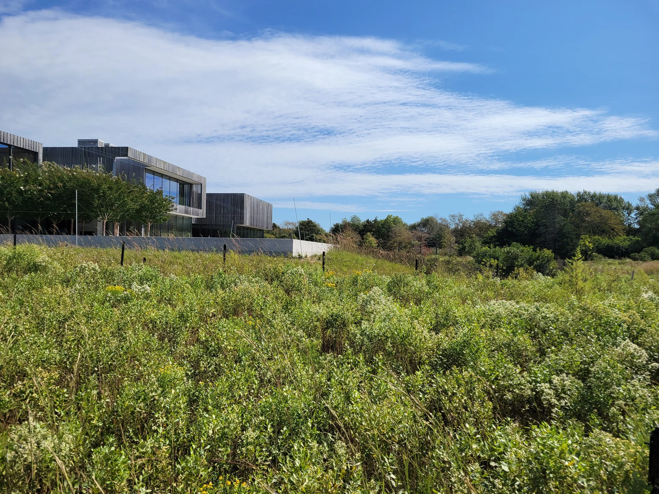 Shinnecock Residence