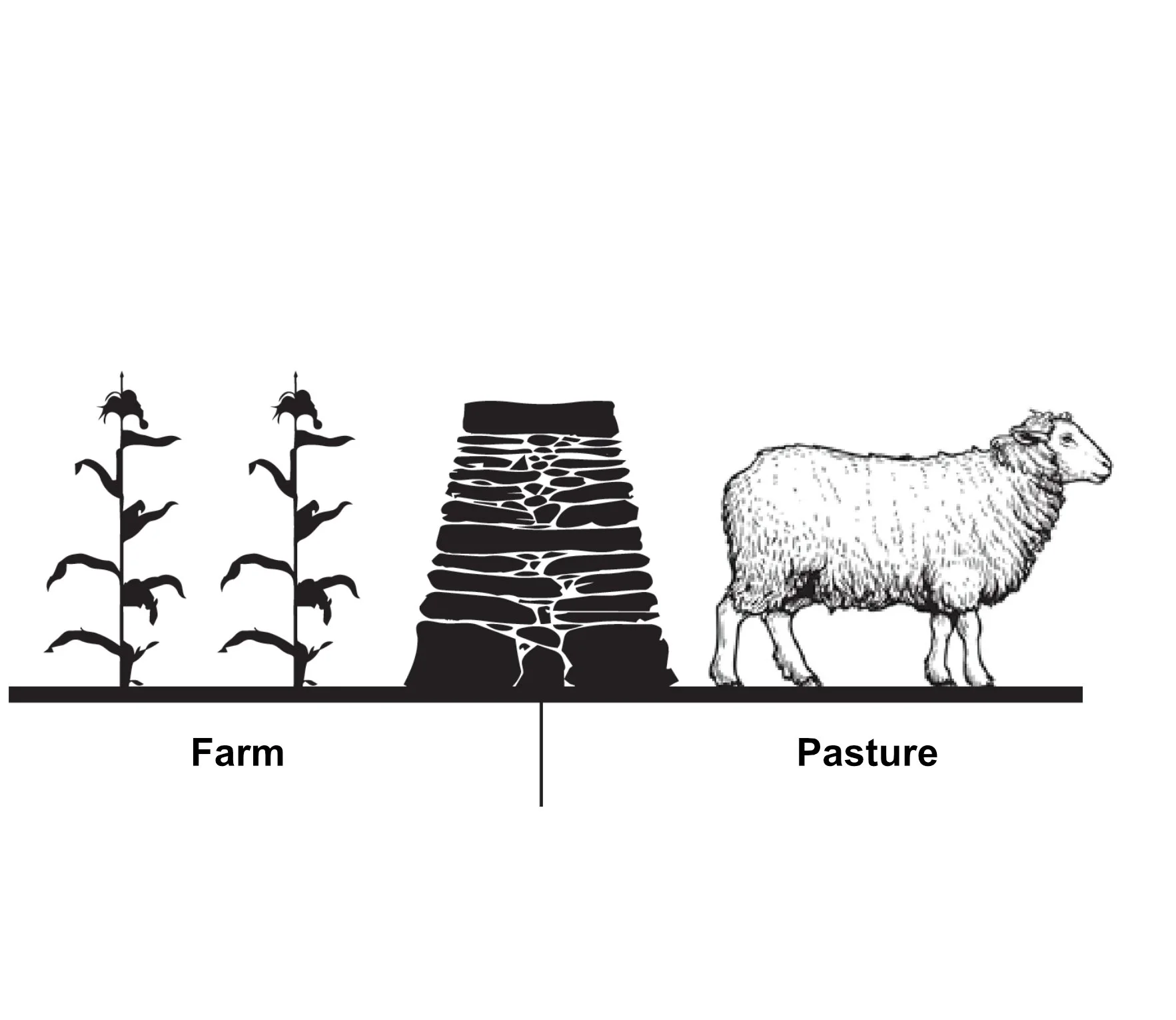 wall-sheep.jpg