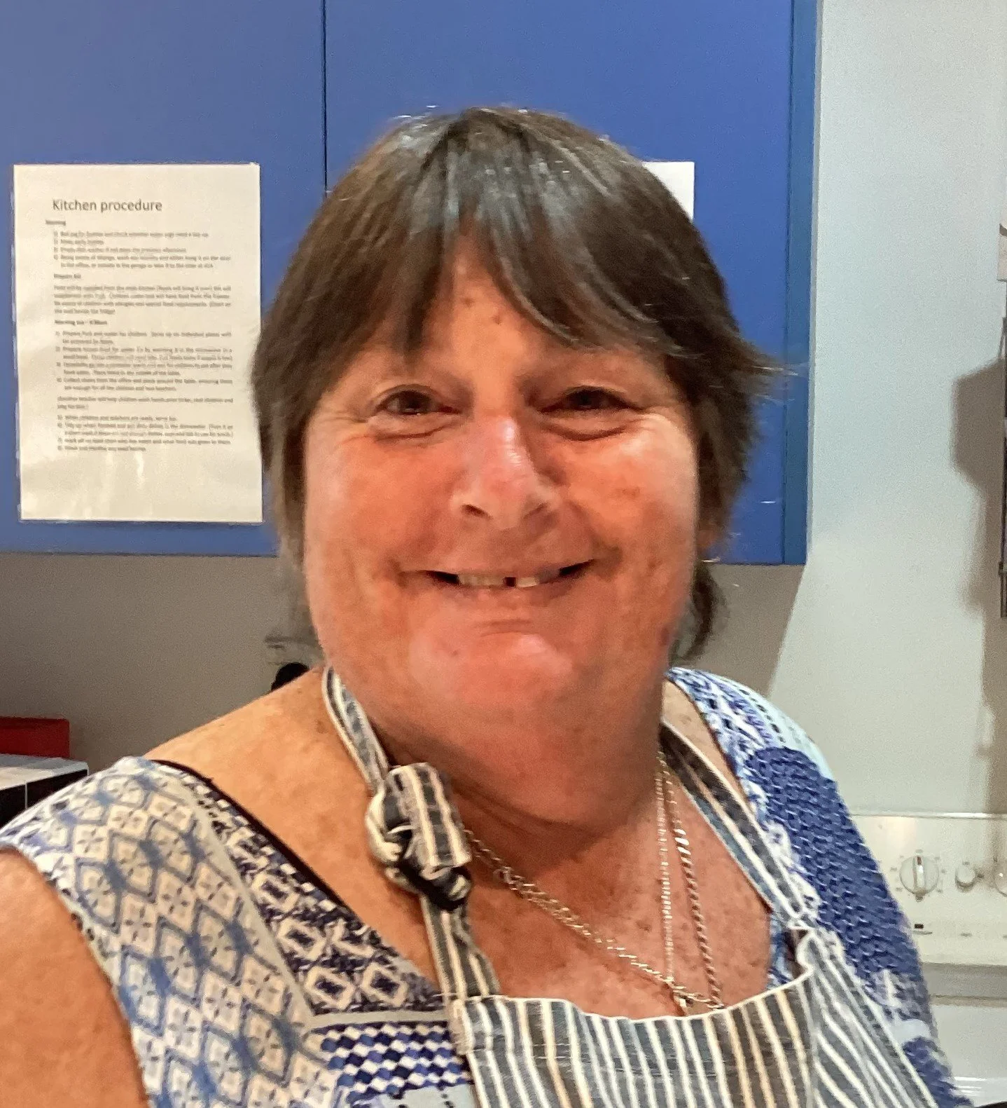 A smiling woman with brown hair wearing a blue and white patterned dress and a striped apron, standing in a kitchen with blue cabinets and a kitchen procedure chart on the wall.