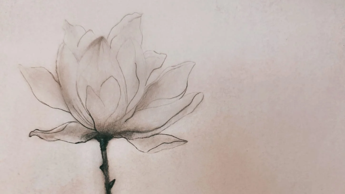 Hand-drawn magnolia flower on a soft dusty pink background, evoking calm, elegance, and gentle care