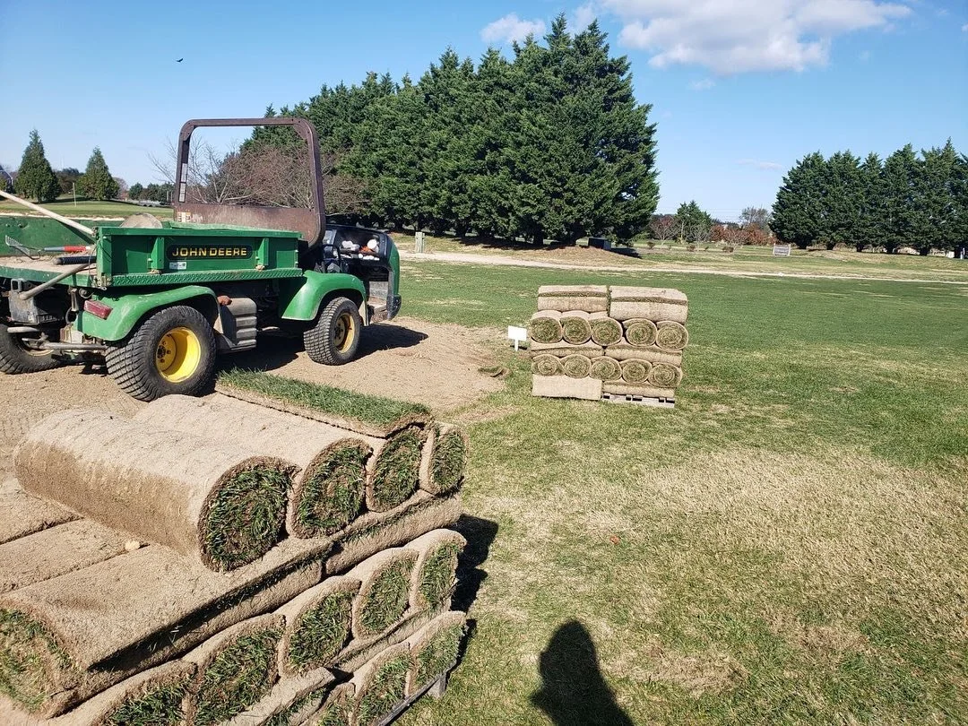 Golf Course Sod