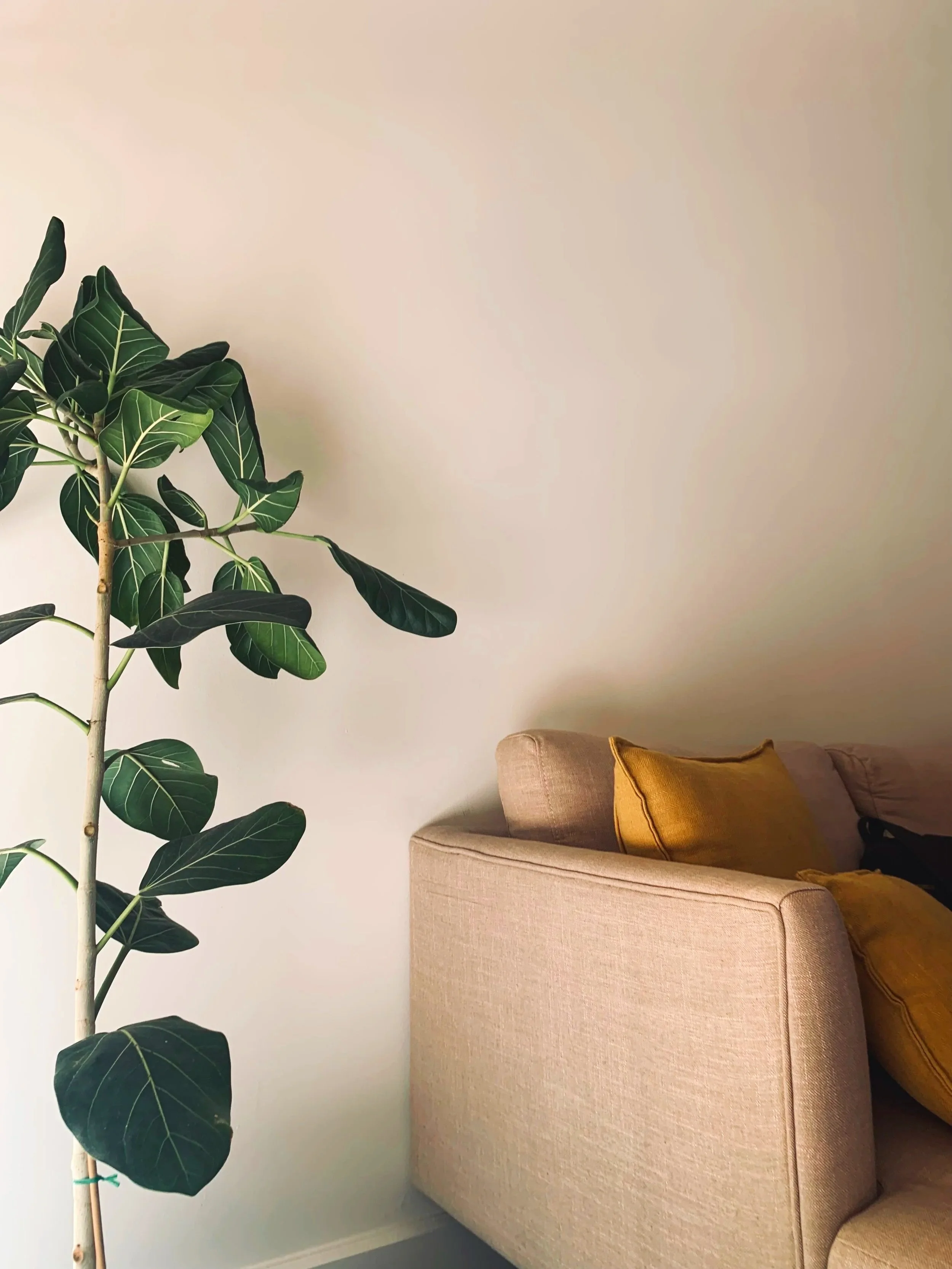 Acupuncture for Stress and Nervous System Support | Carlton, Melbourne