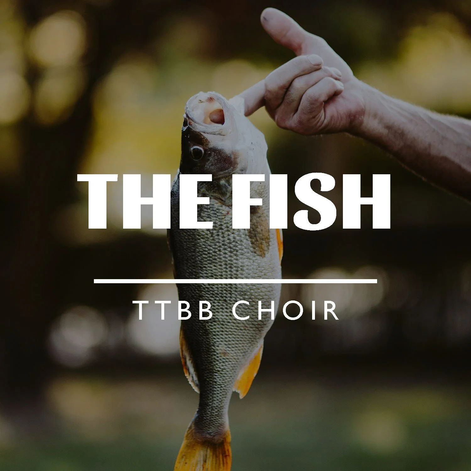 The Fish