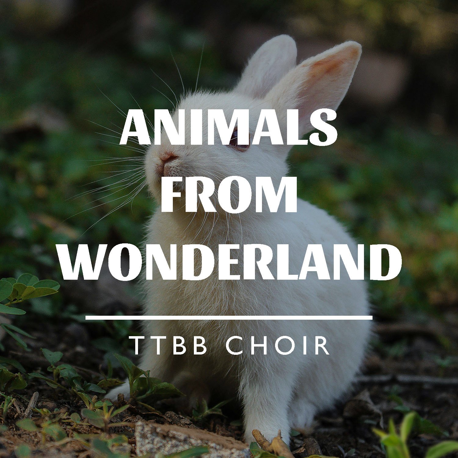 Animals from Wonderland
