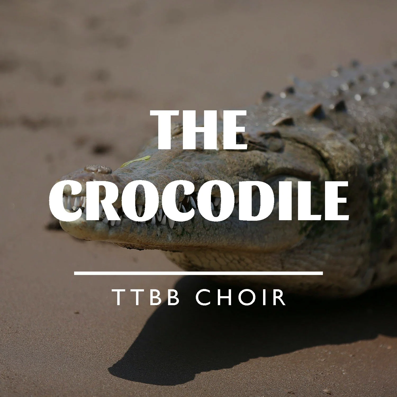 The Crocodile