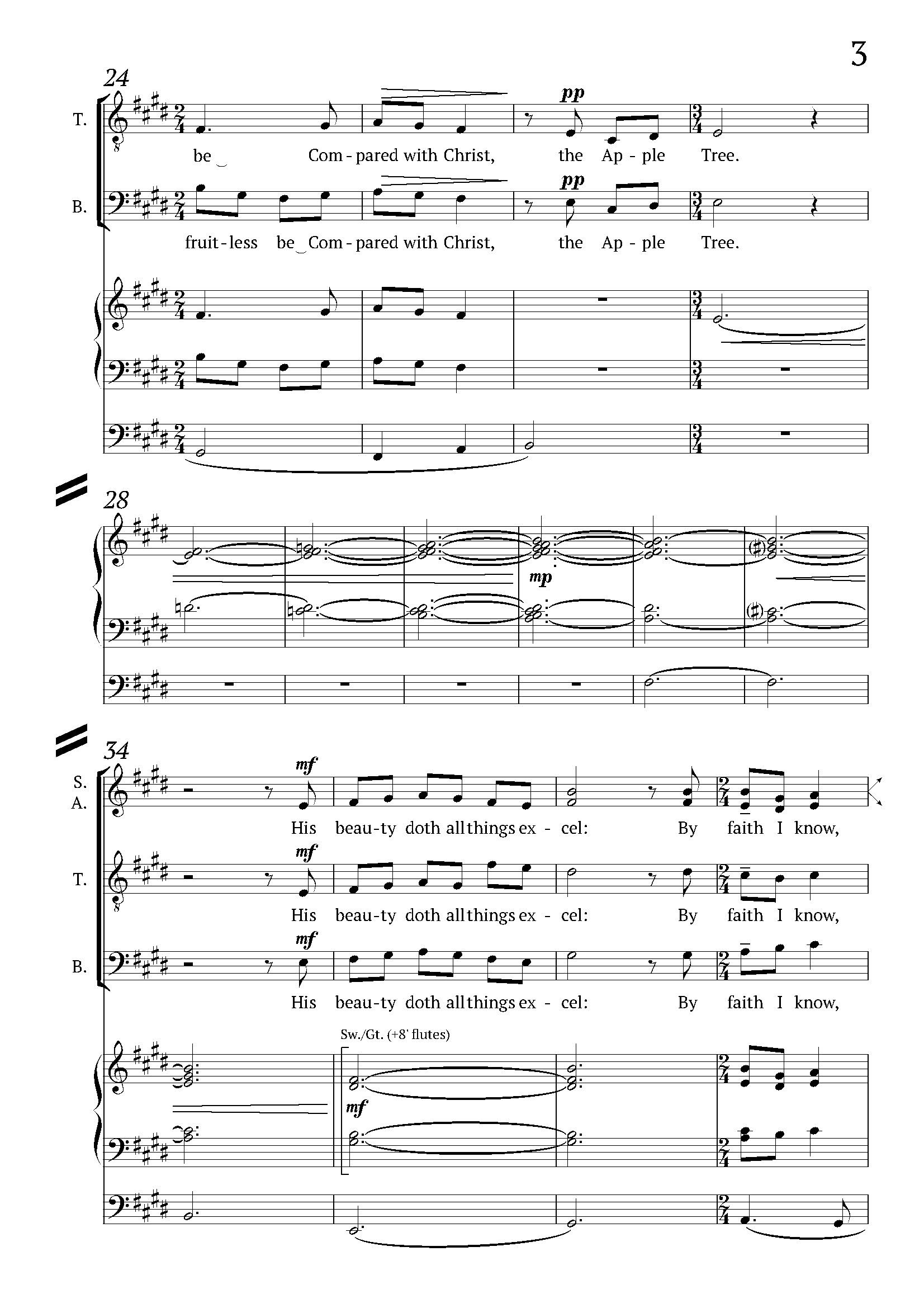 The Apple Tree_Page_3.jpg