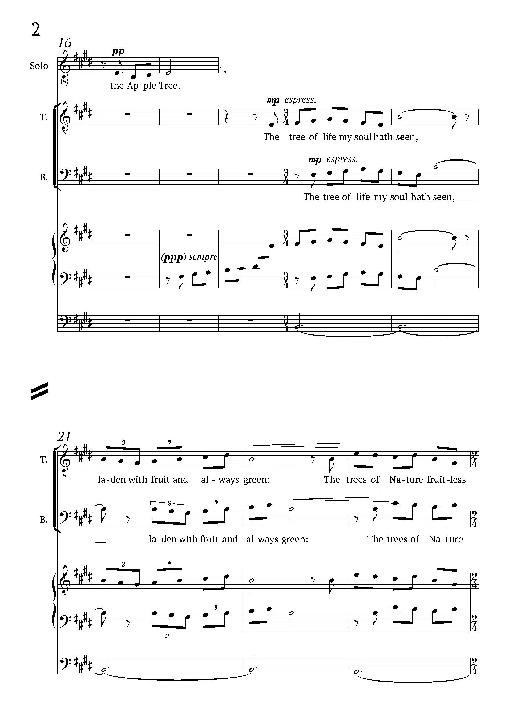 The Apple Tree_Page_2.jpg