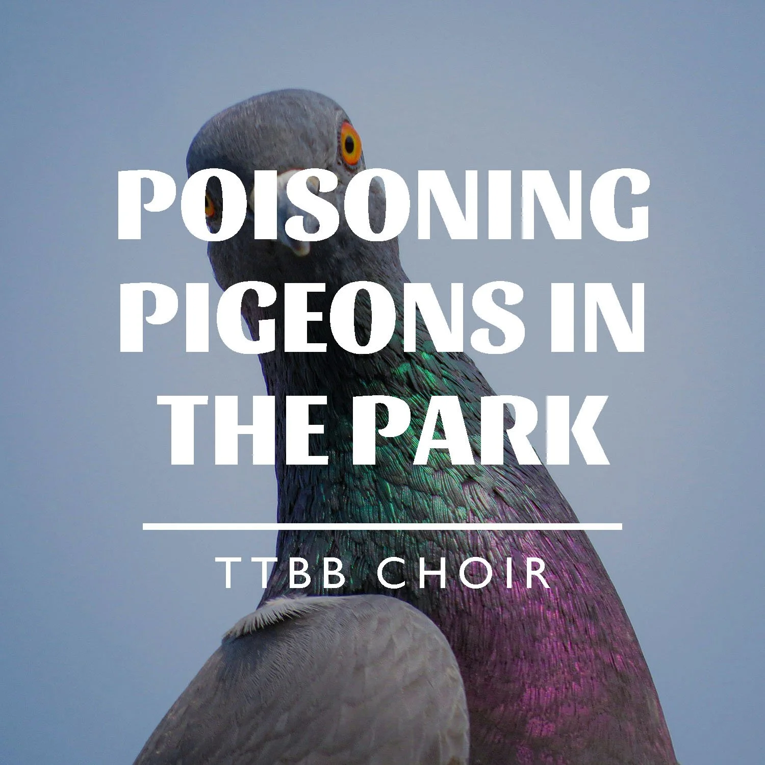 Poisoning Pigeons in the Park (Lehrer)