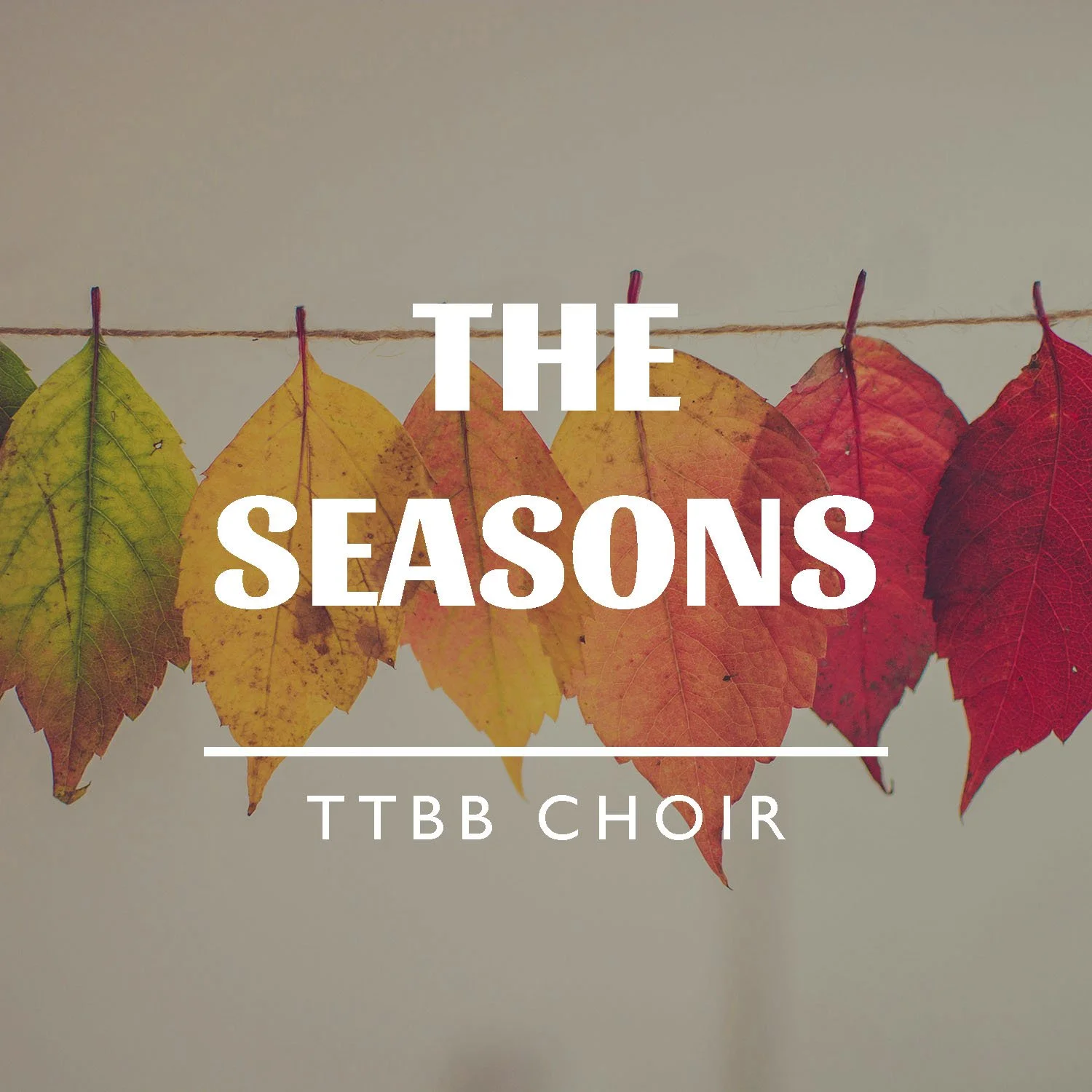 The Seasons