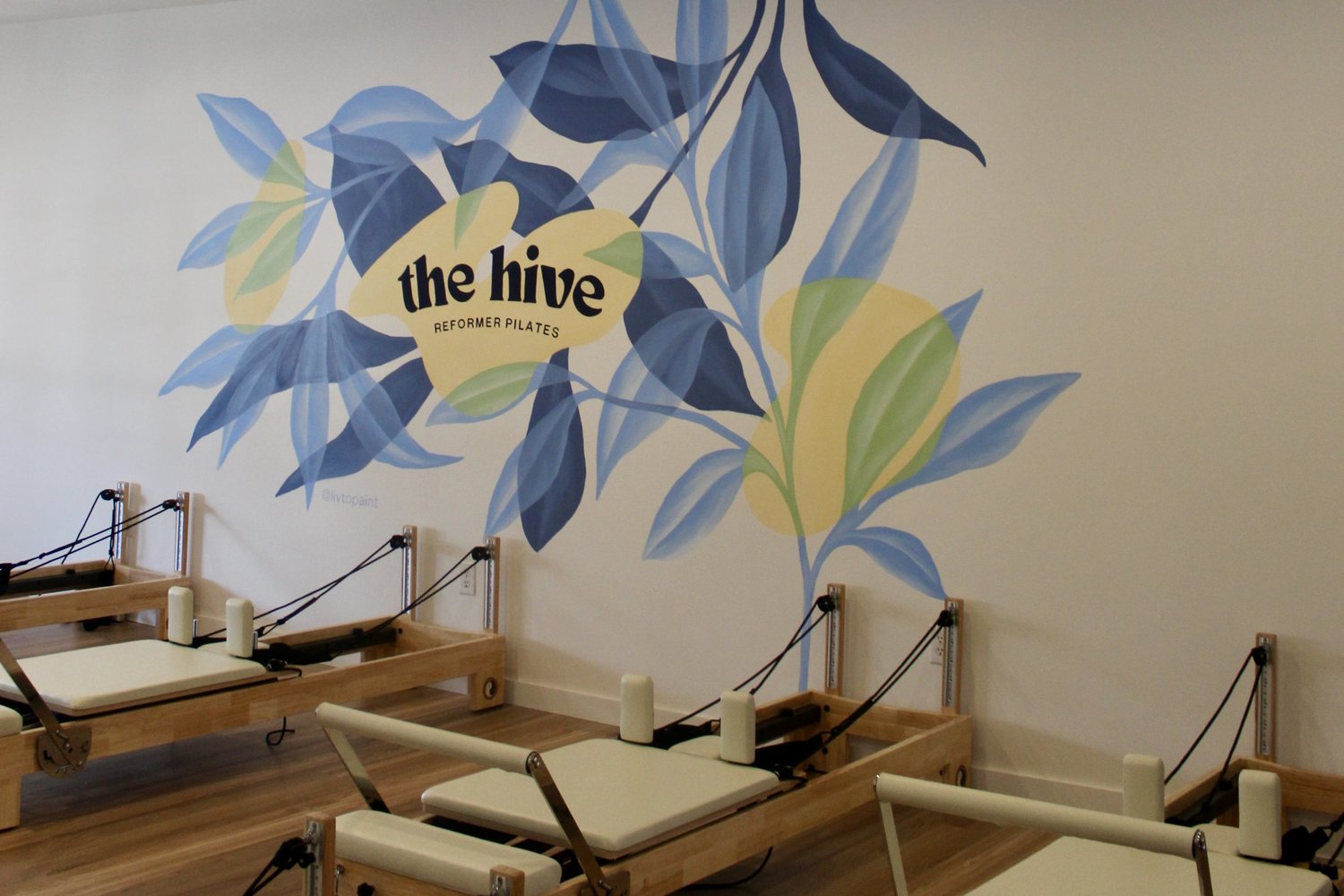 Reformer Pilates studio at The Hive in Norfolk, MA