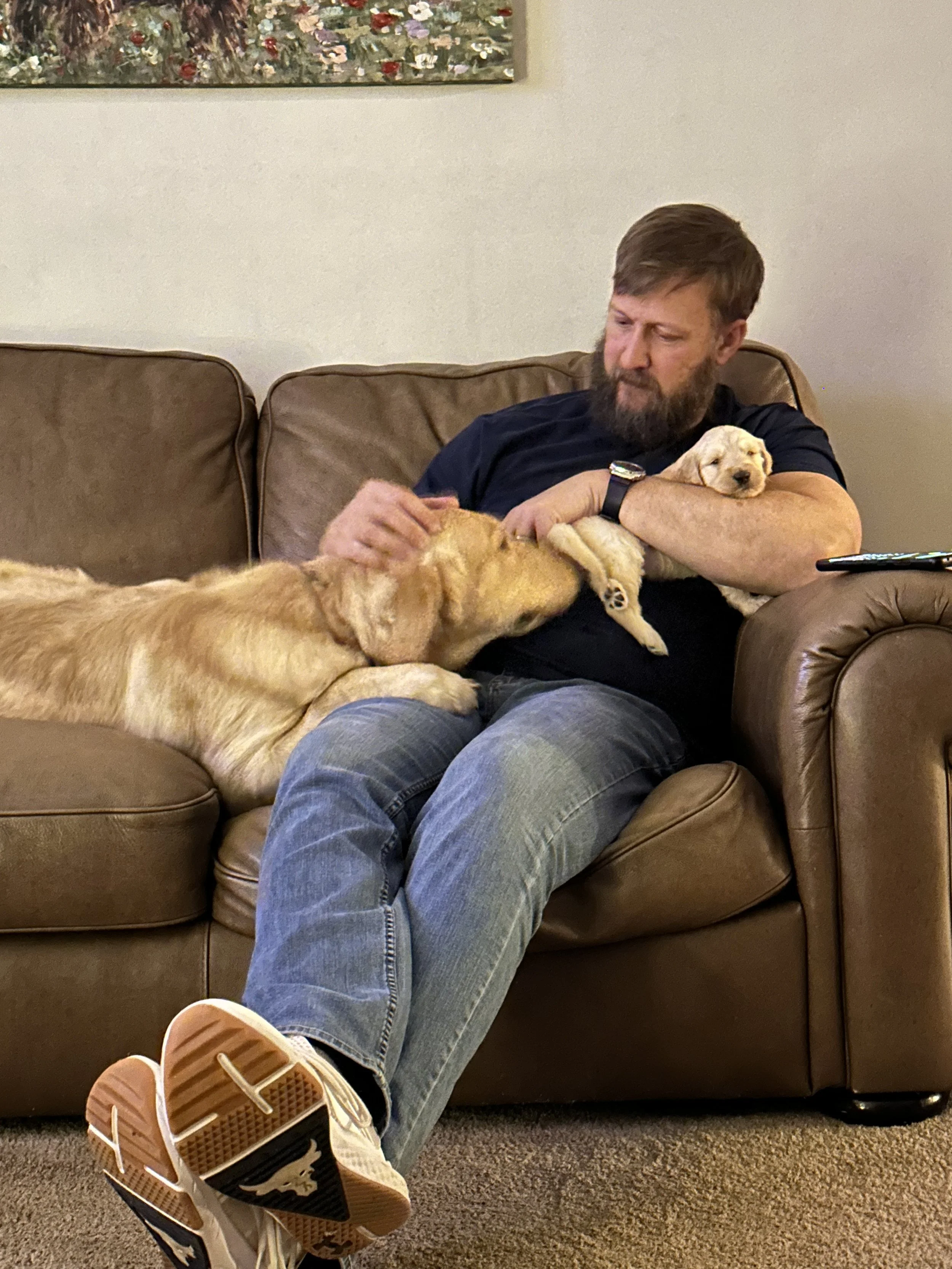 A man with a beard and a black T-shirt sitting on a brown leather couch, cuddling three puppies. Two puppies are on his lap, and the other is lying on the couch. There is a colorful painting on the wall above him.