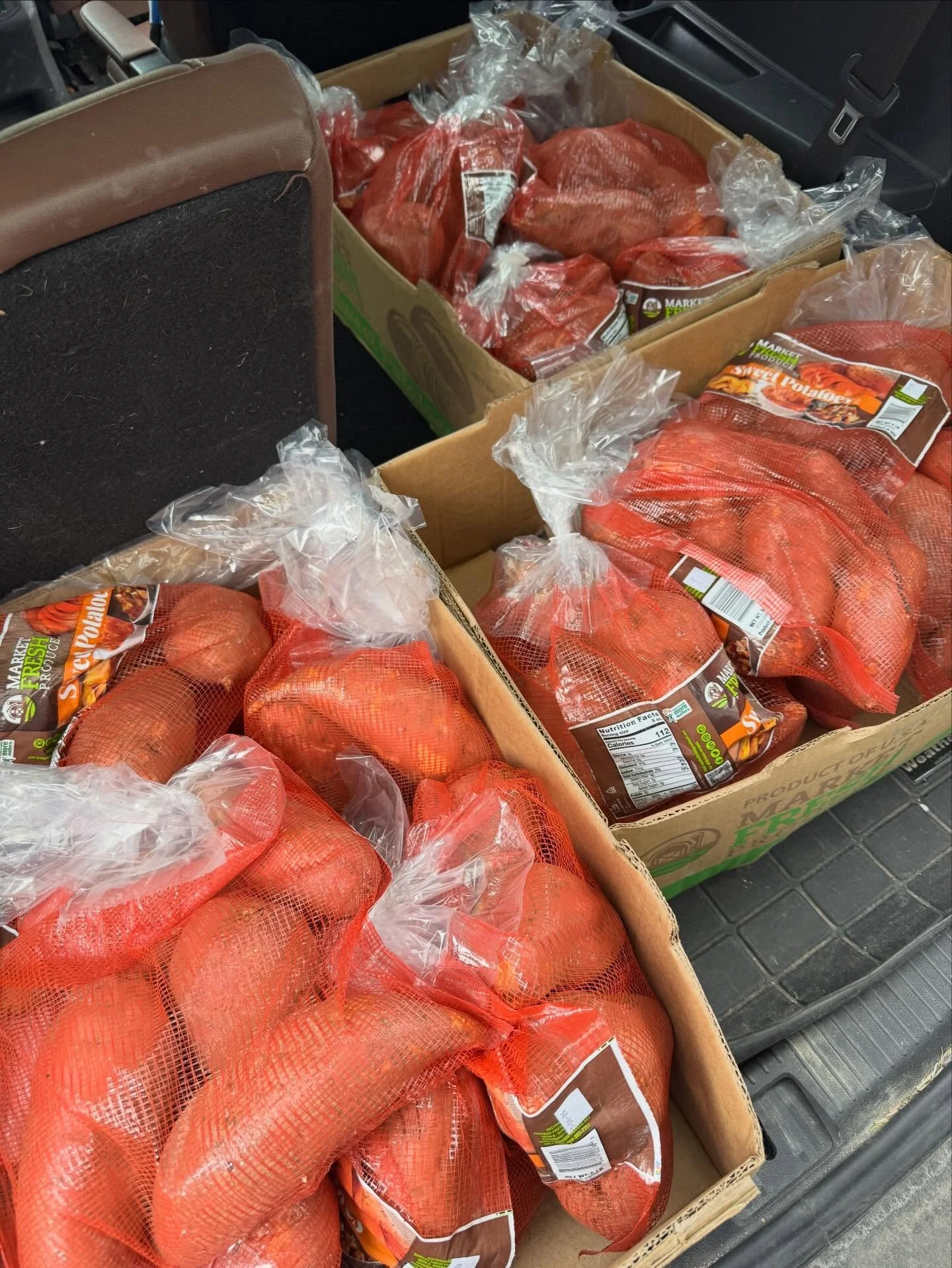 115+ pounds of sweet potatoes to help feed my neighbors. It takes all of us, and I&rsquo;m deeply privileged to live in a community that won&rsquo;t stop fighting for each other.