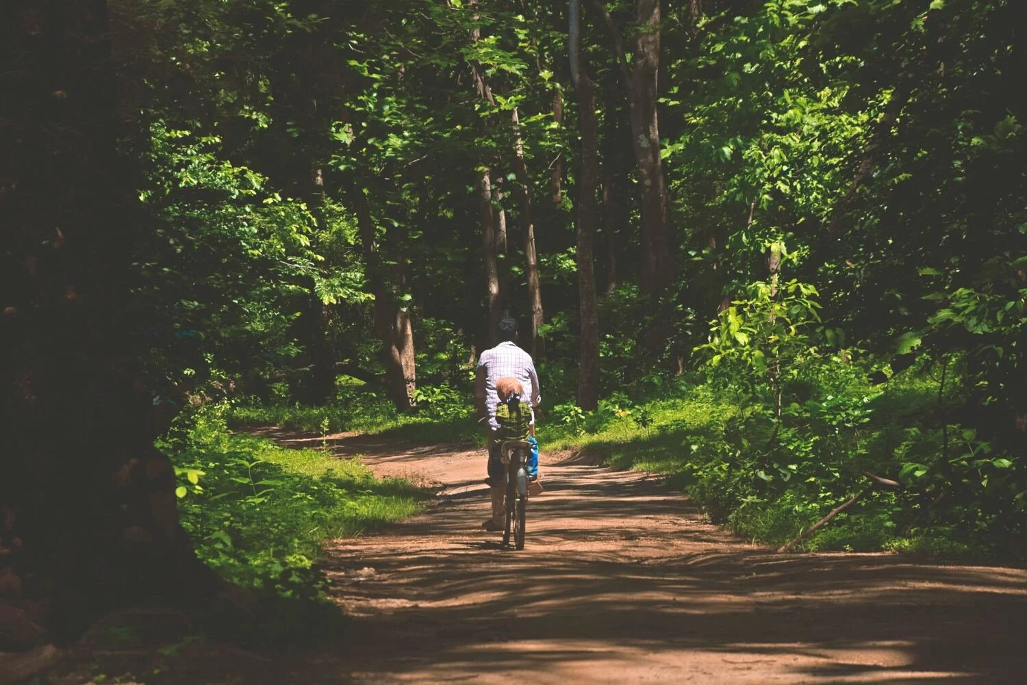 Person riding a bicycle on a dirt trail through a lush, green forest with tall trees and dense foliage.